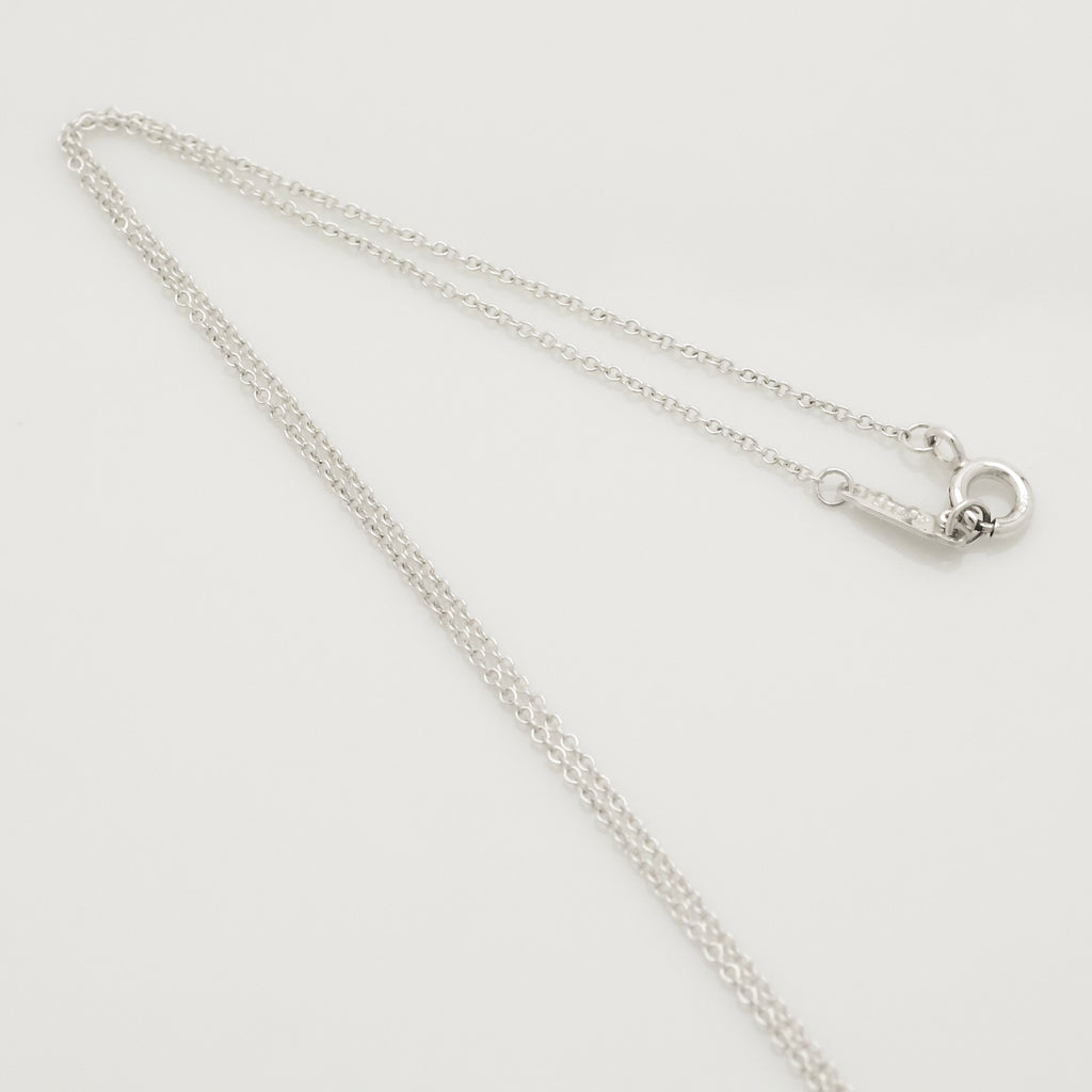 TIFFANY&Co. ラウンド タグ ネックレス AG925