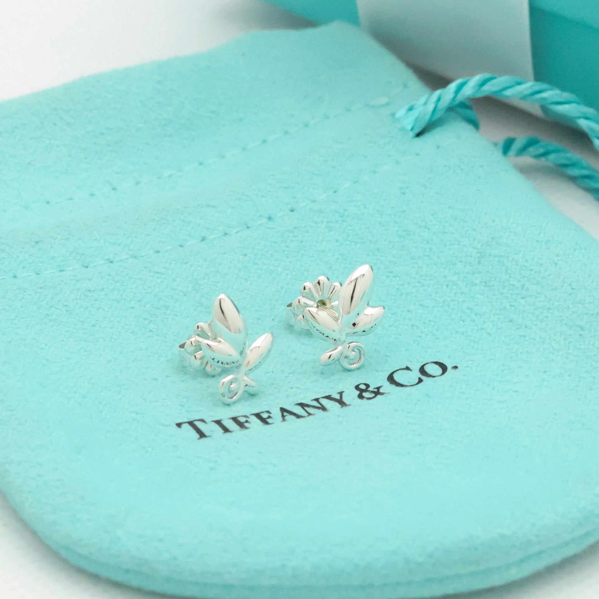 Tiffany & Co. Olive Leaf Necklace Sterling Silver 925 