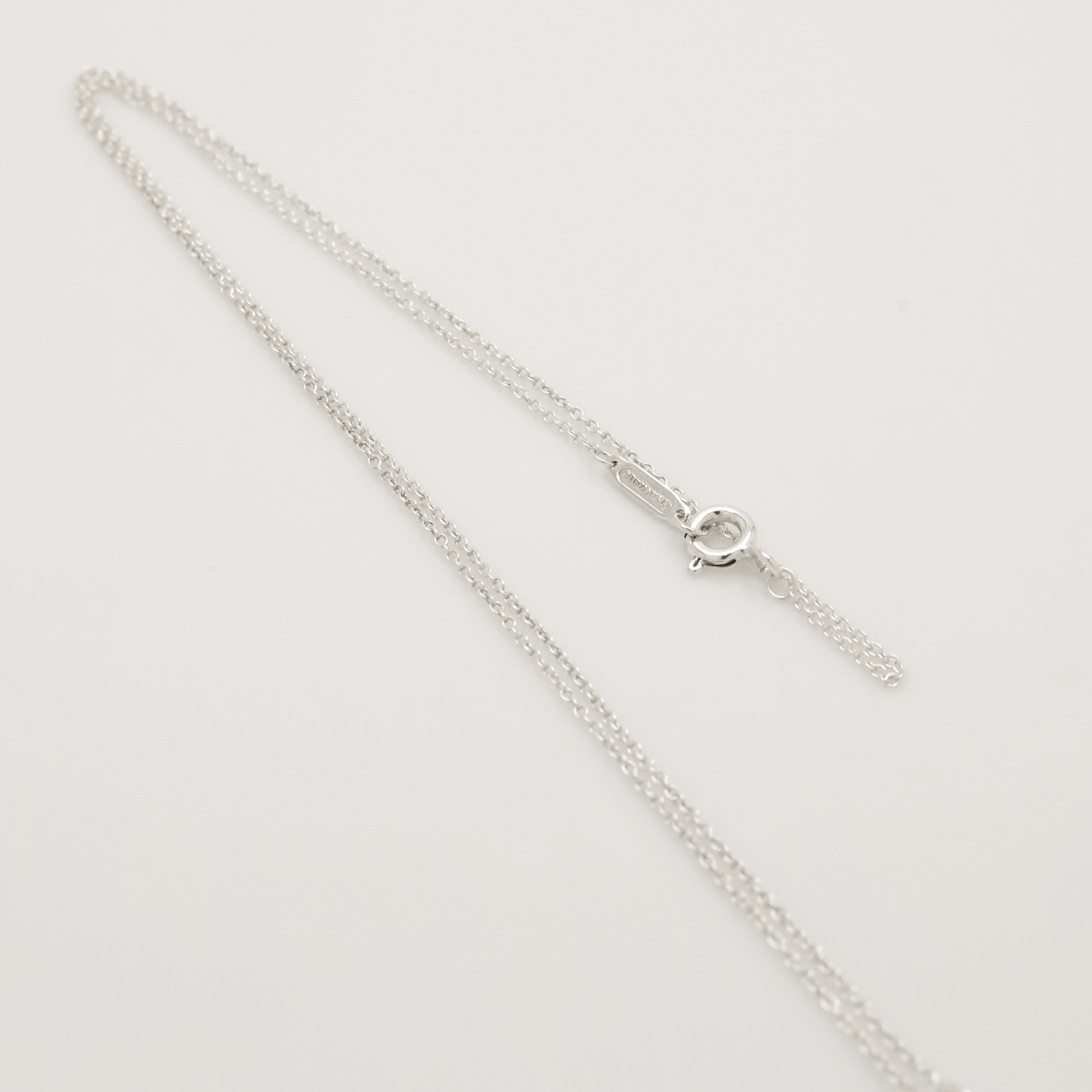 TIFFANY&Co. ノーツ レター ラウンド イニシャル H ディスク ネックレス AG925