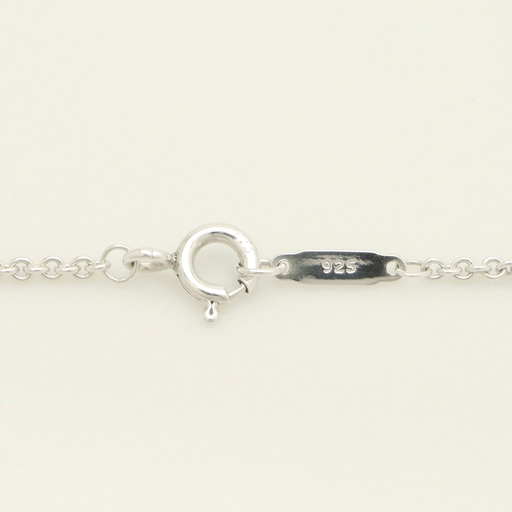 TIFFANY&Co. ホース シュー ネックレス AG925