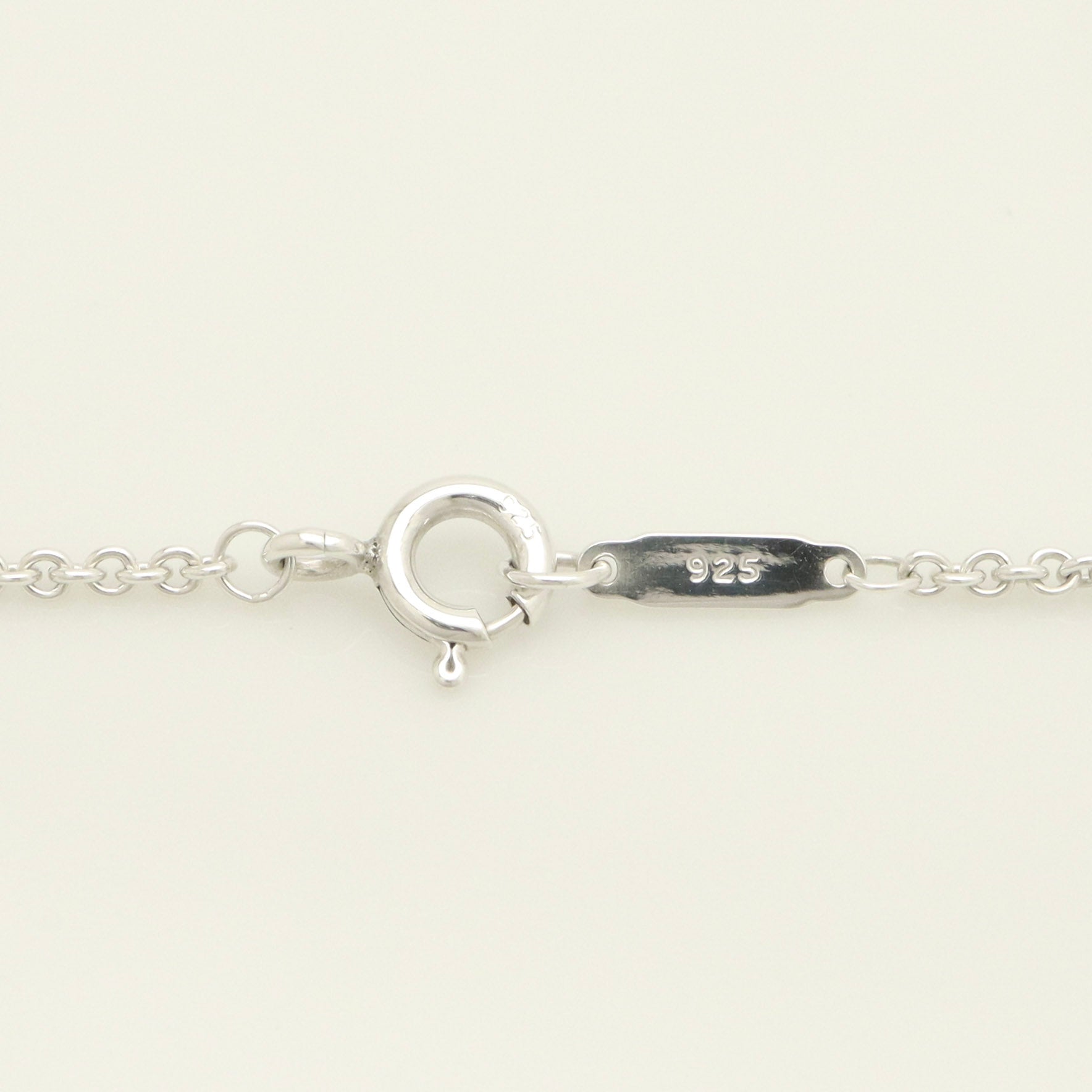 TIFFANY&Co. ホース シュー ネックレス AG925