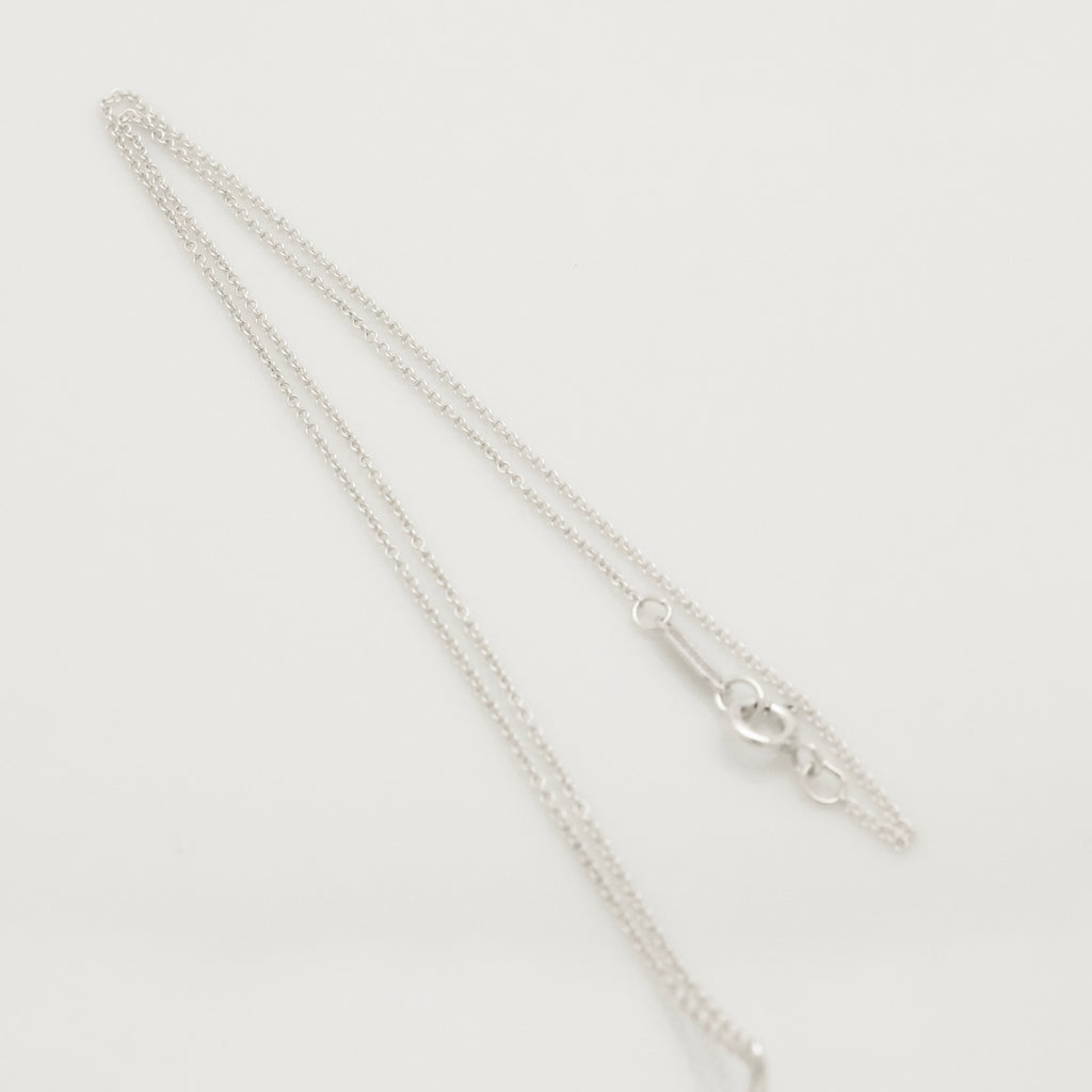 TIFFANY&Co. フランク ゲーリー オーキッド ネックレス AG925