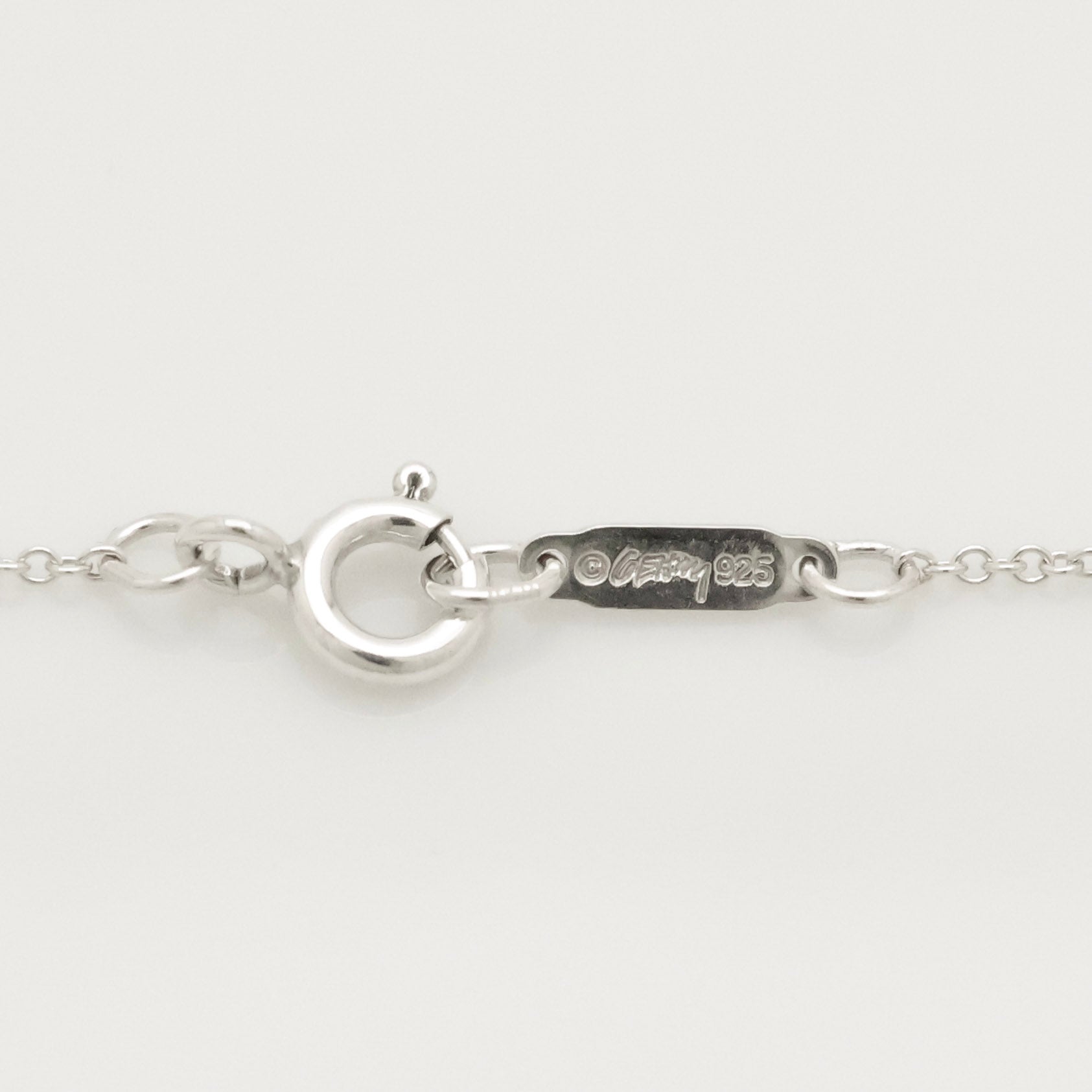 Tiffany & Co. Frank Gehry Orchid Drop Pendant Necklace Sterling Silver 925