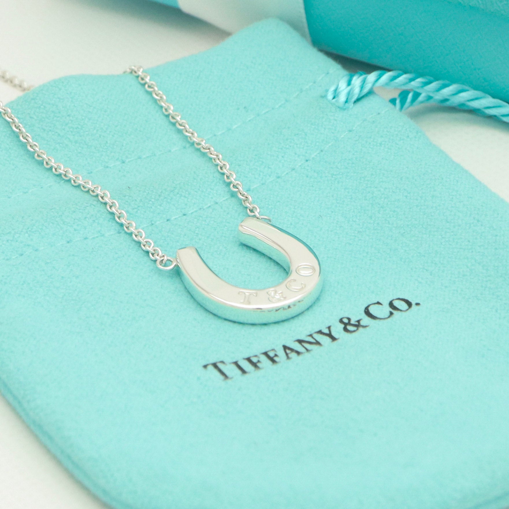 TIFFANY&Co. ホース シュー ネックレス AG925
