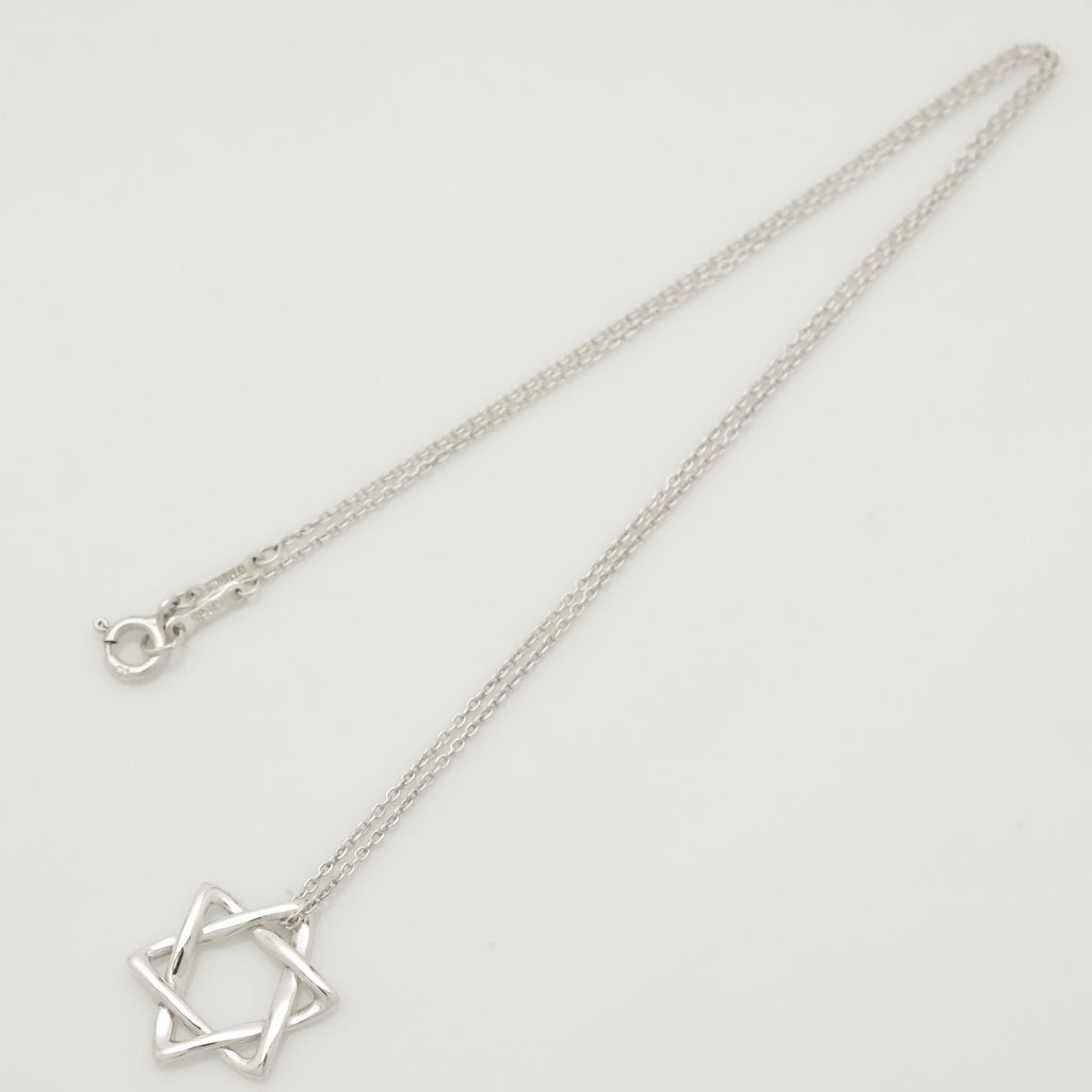 TIFFANY&Co. スター オブ ダビデ エルサペレッティ ネックレス AG925