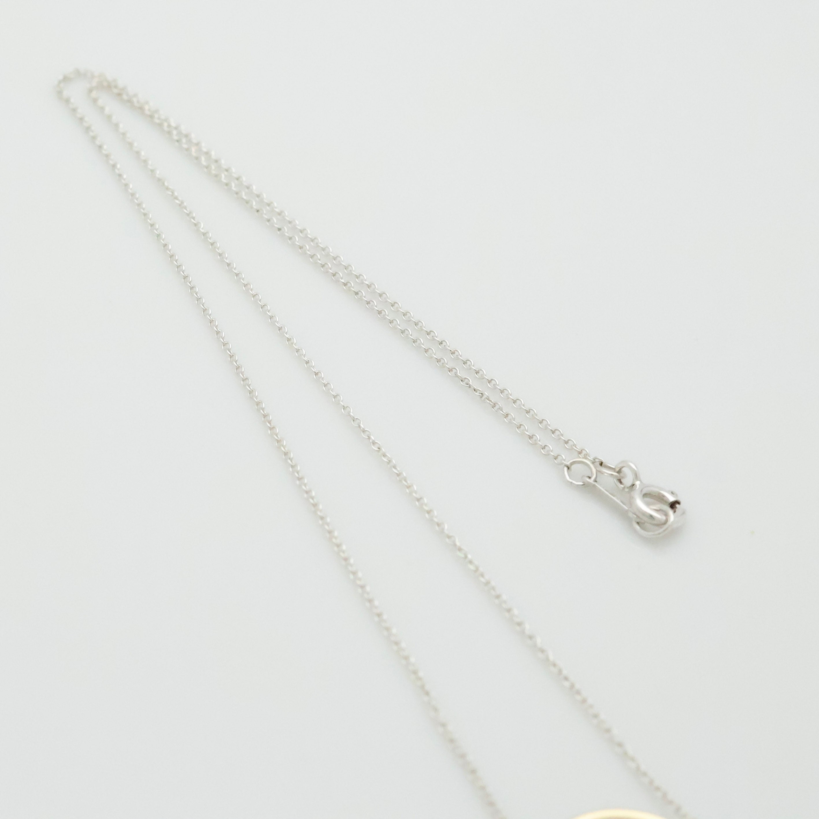 TIFFANY&Co. マジック サークル パロマピカソ ネックレス AG925 AU750