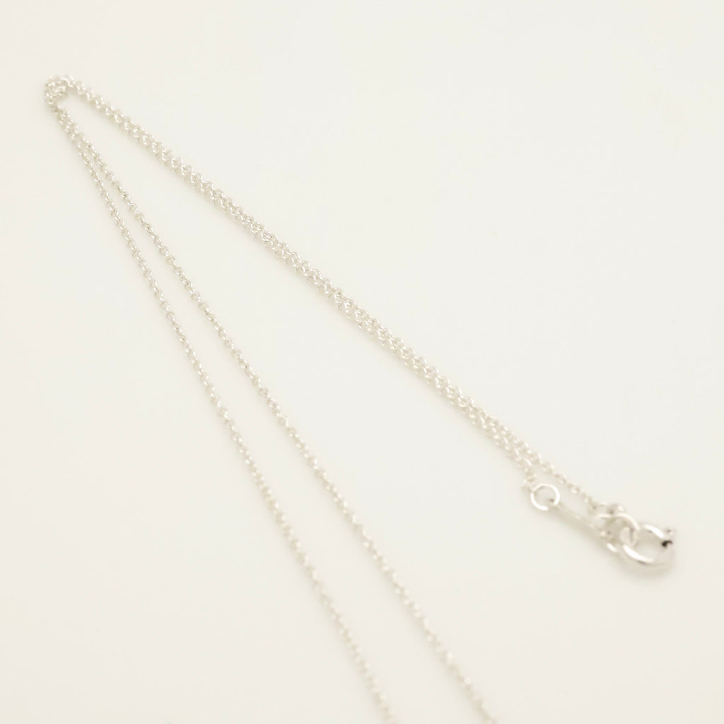 TIFFANY&Co. テンダネス ハート パロマピカソ ネックレス AG925