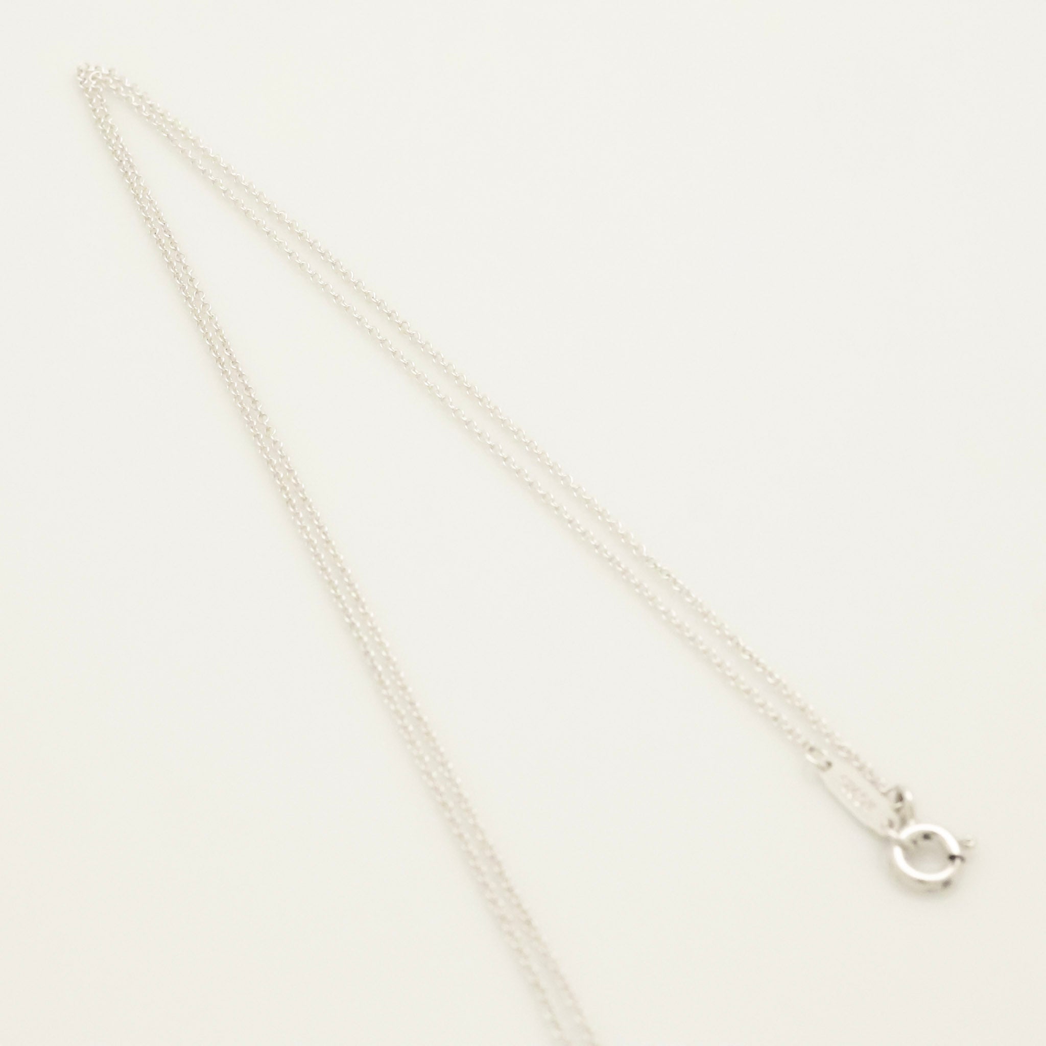TIFFANY&Co. ノーツ レター ラウンド イニシャル M ディスク ネックレス AG925