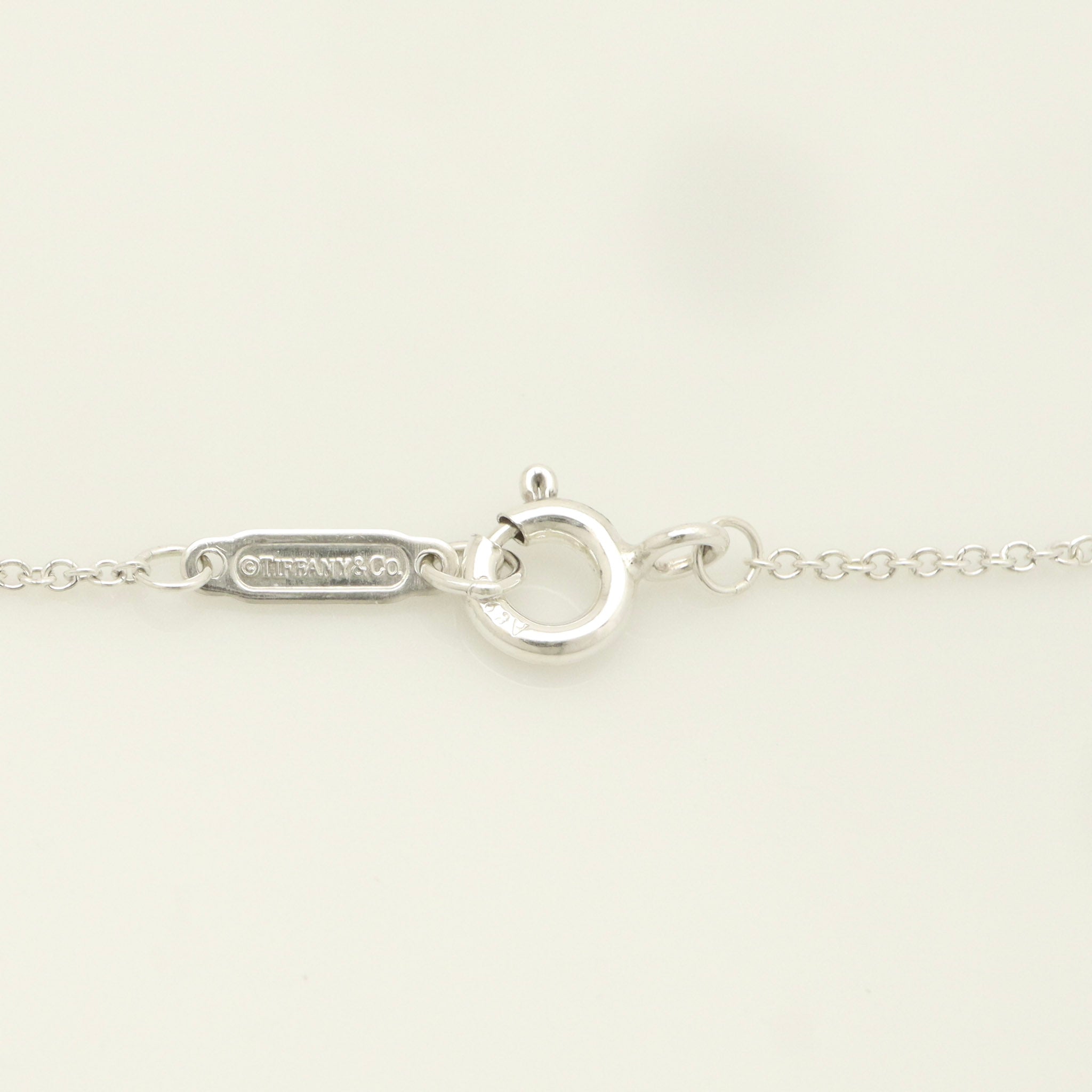 Tiffany & Co. 1837 Circle Necklace 16" Black Titanium Sterling Silver 925