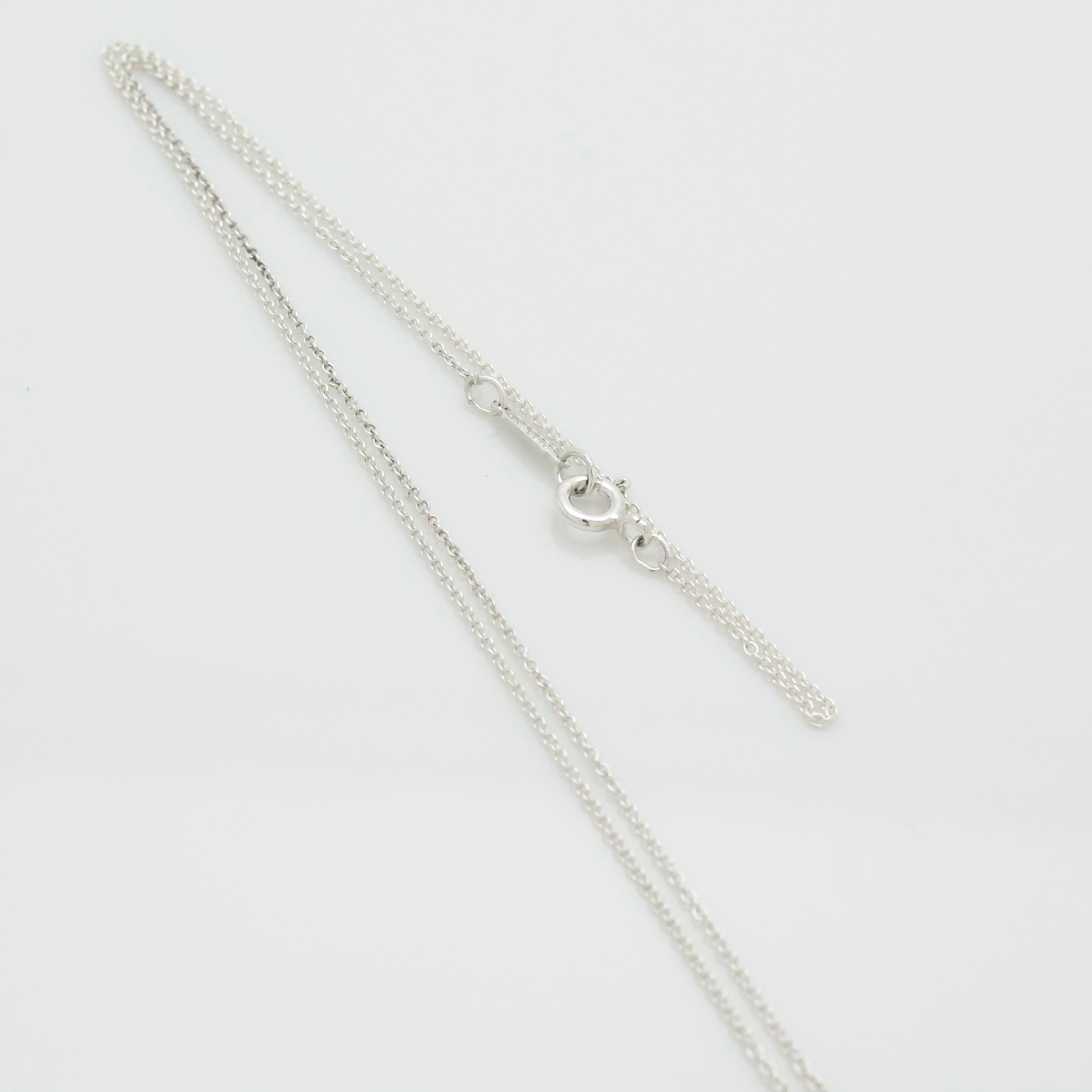  Tiffany & Co. Nature Leaf Pendant Necklace Sterling Silver 925 & Gold 