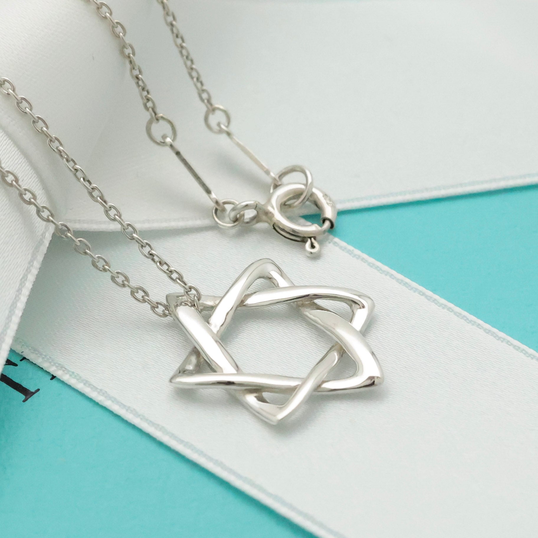 TIFFANY&Co. スター オブ ダビデ エルサペレッティ ネックレス AG925