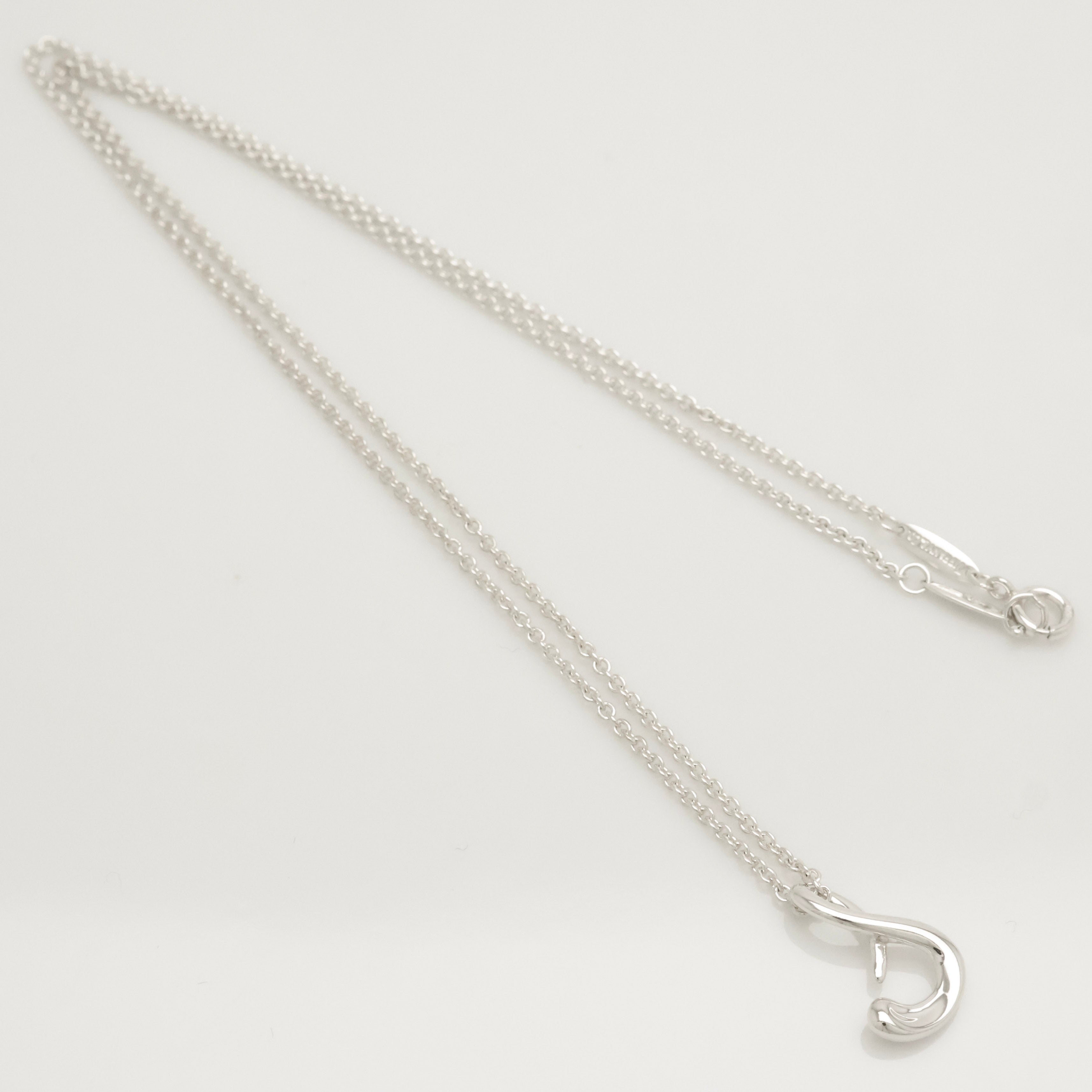 TIFFANY&Co. ノーツ レター S イニシャル  ネックレス AG925