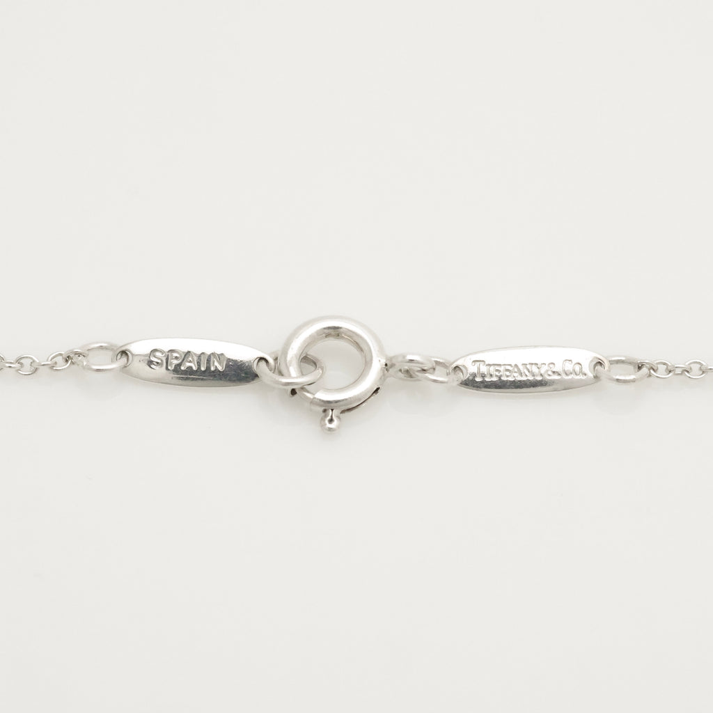 Tiffany & Co. MEDIUM Eternal Circle Necklace Sterling Silver 925 