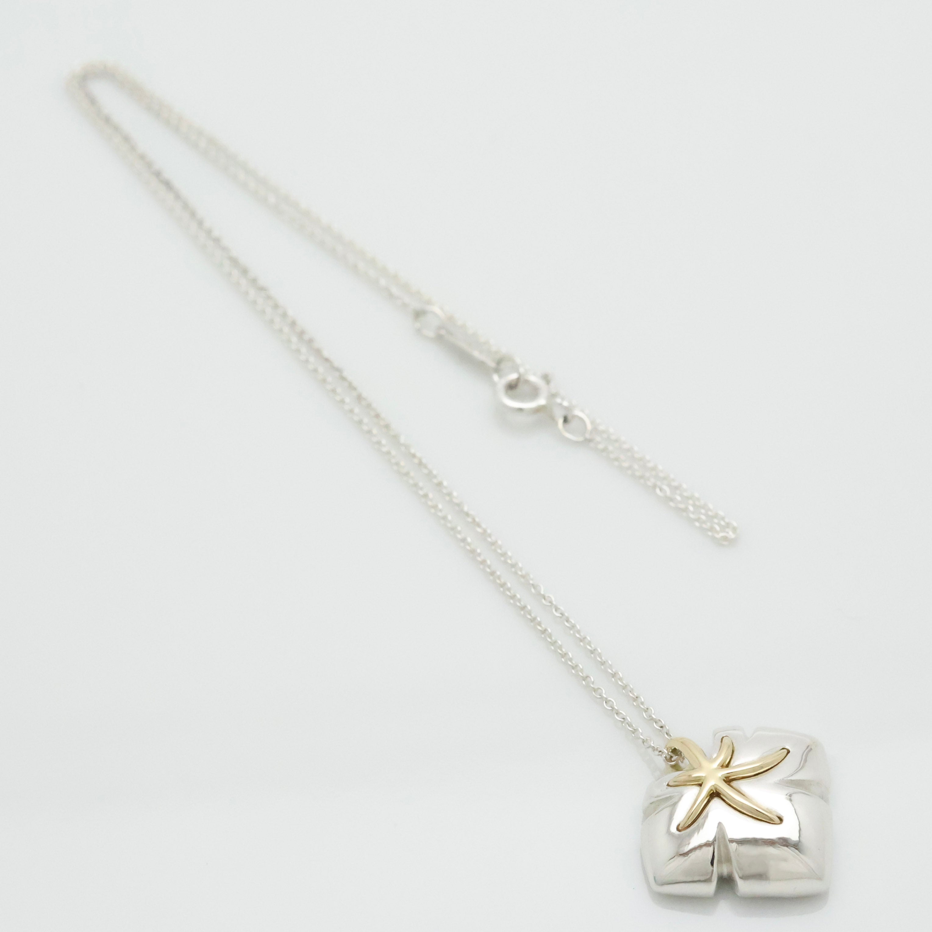  Tiffany & Co. Nature Leaf Pendant Necklace Sterling Silver 925 & Gold 