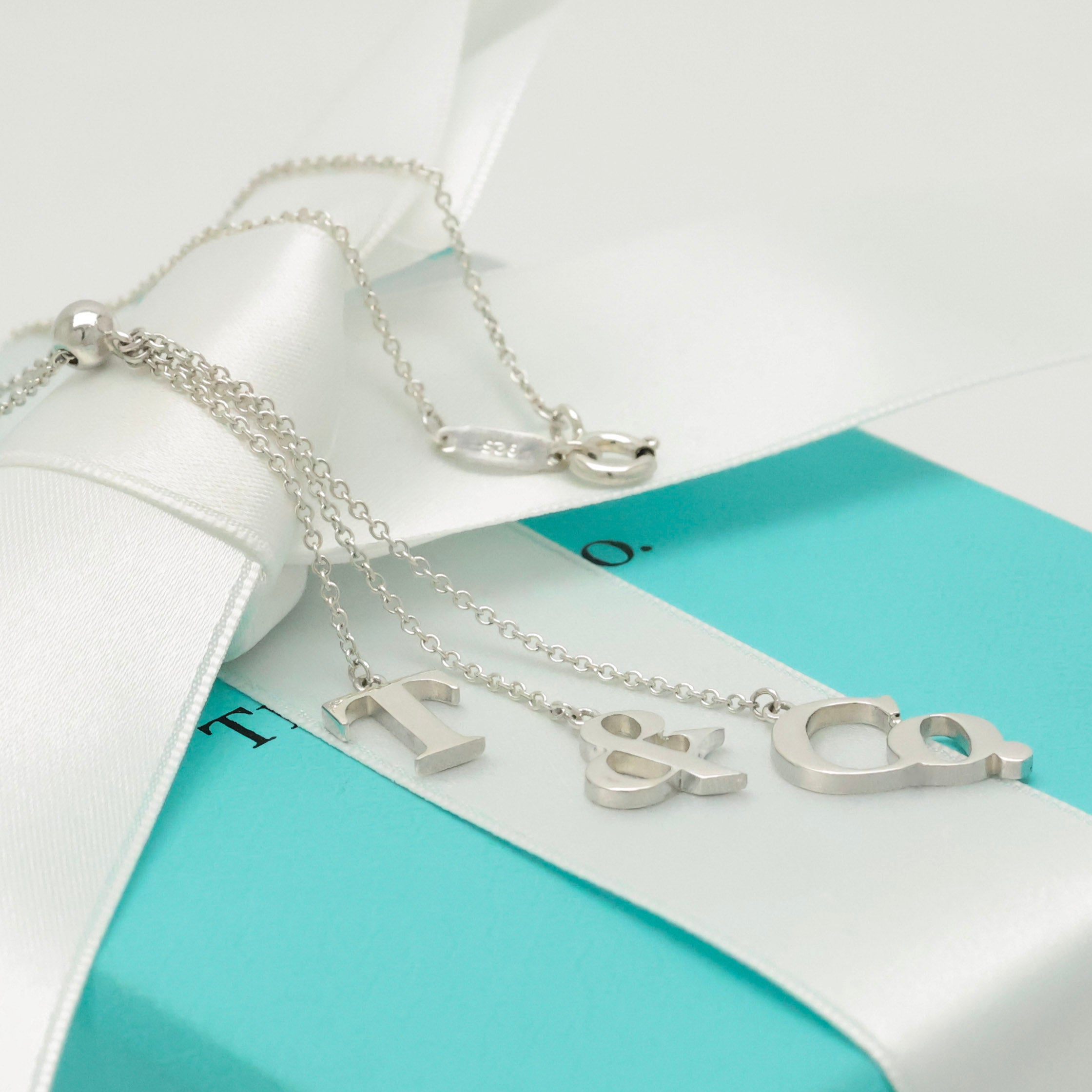 TIFFANY&Co. T＆CO. ロゴ アイコン スイング ネックレス AG925