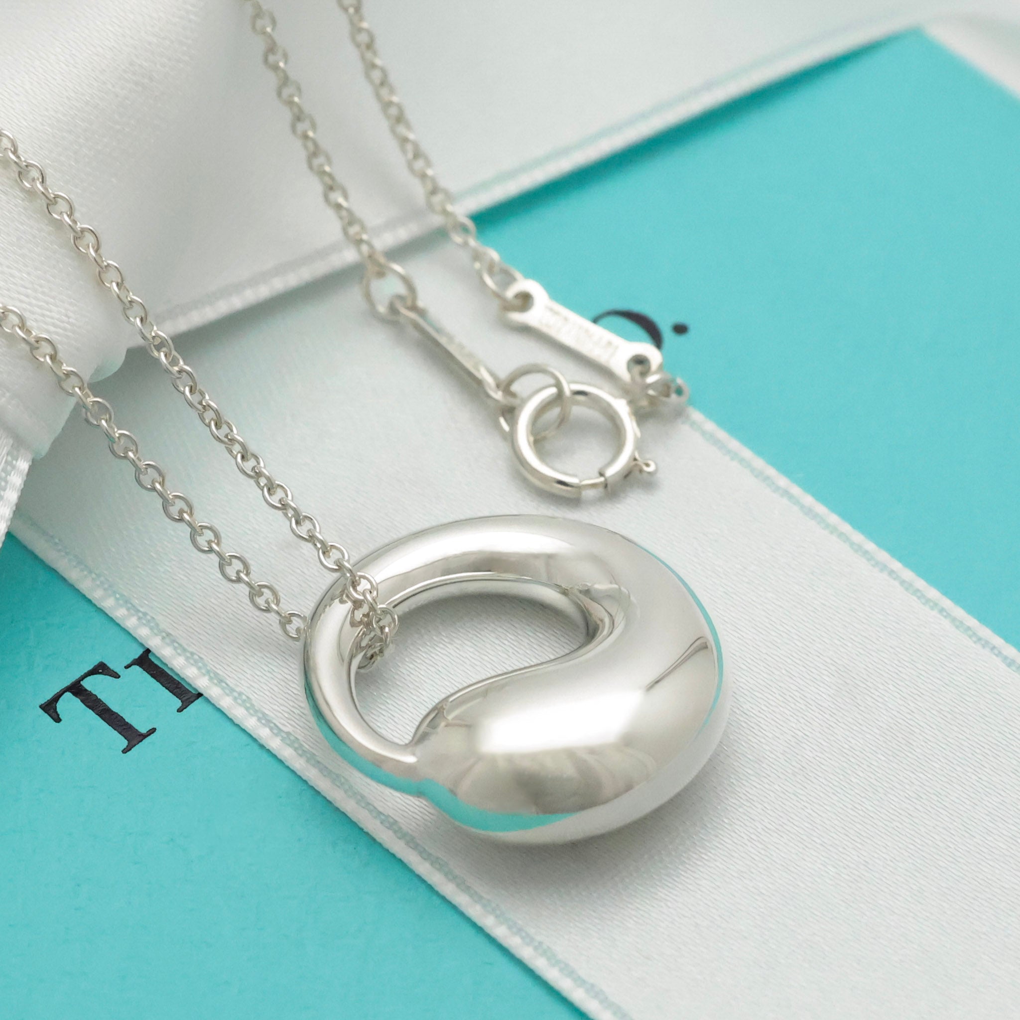 Tiffany & Co. MEDIUM Eternal Circle Necklace Sterling Silver 925 