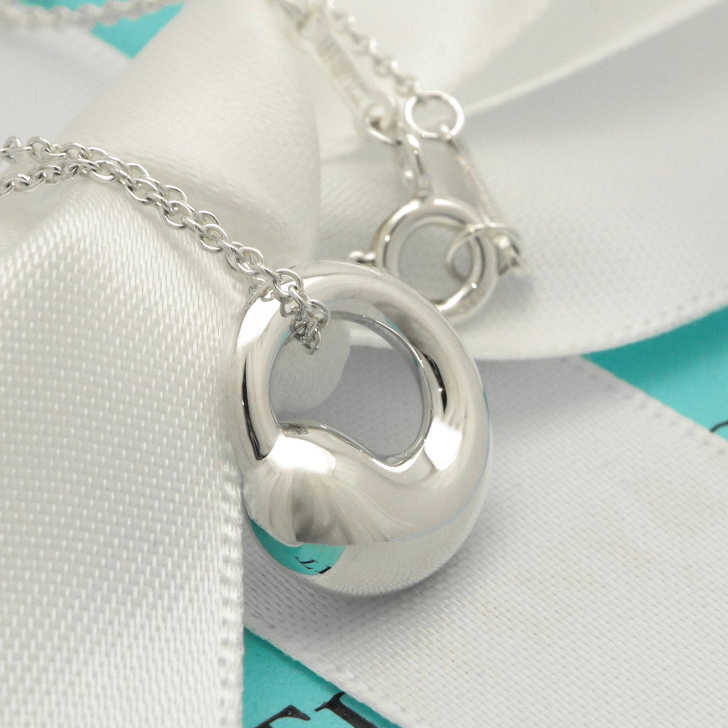 Tiffany & Co. MEDIUM Eternal Circle Necklace Sterling Silver 925 