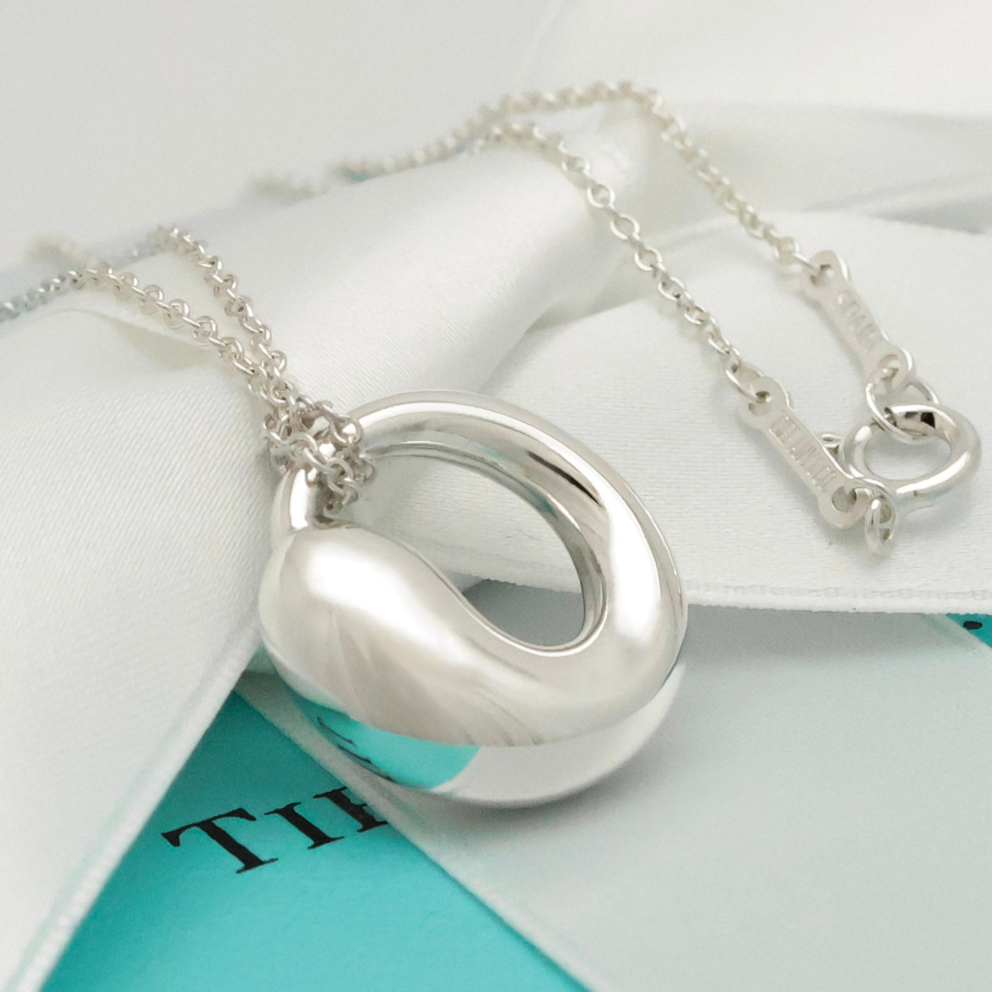 Tiffany & Co. MEDIUM Eternal Circle Necklace Sterling Silver 925 