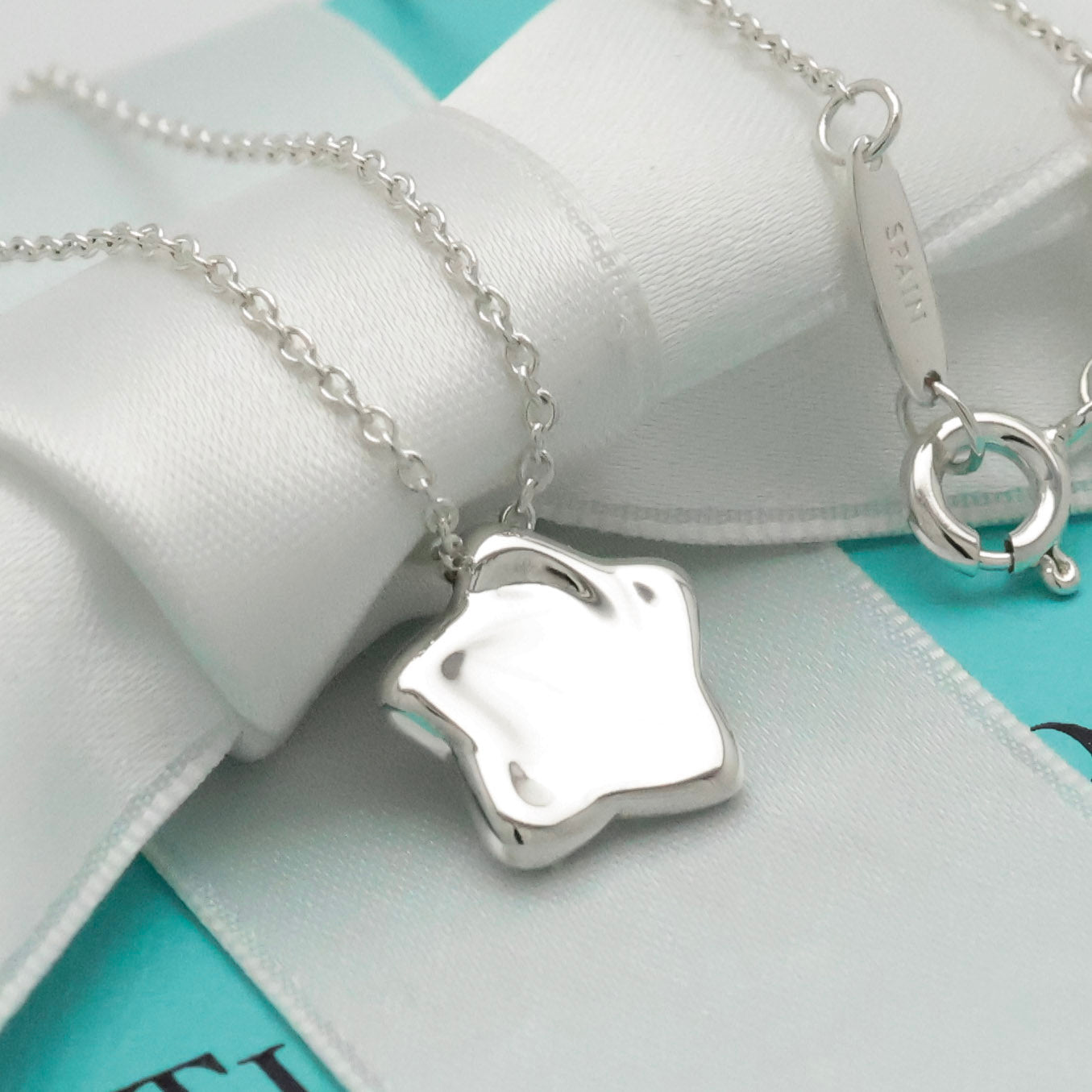  Tiffany & Co. Peretti Star Pendant Necklace Sterling Silver 925 