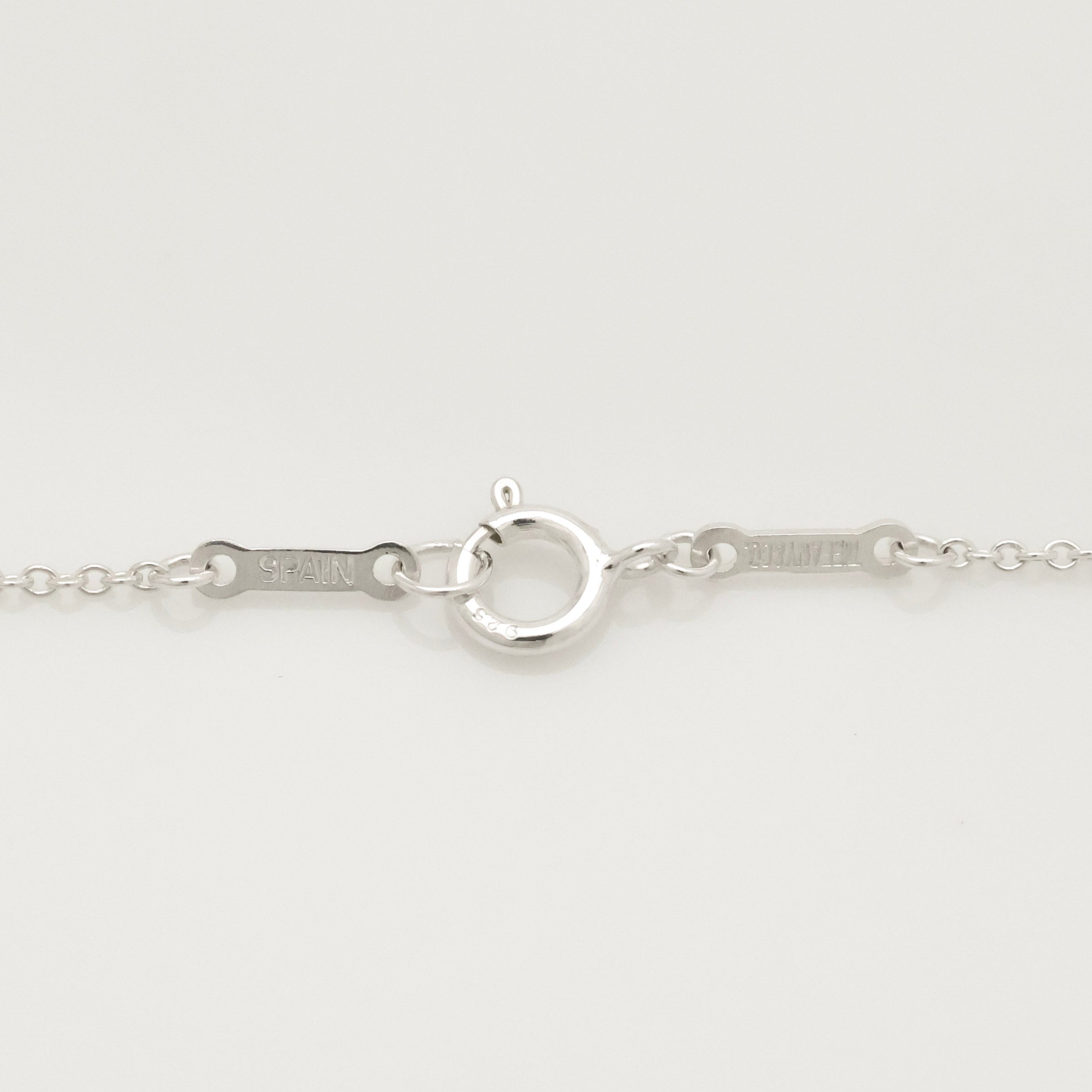 Tiffany & Co. MEDIUM Eternal Circle Necklace Sterling Silver 925 