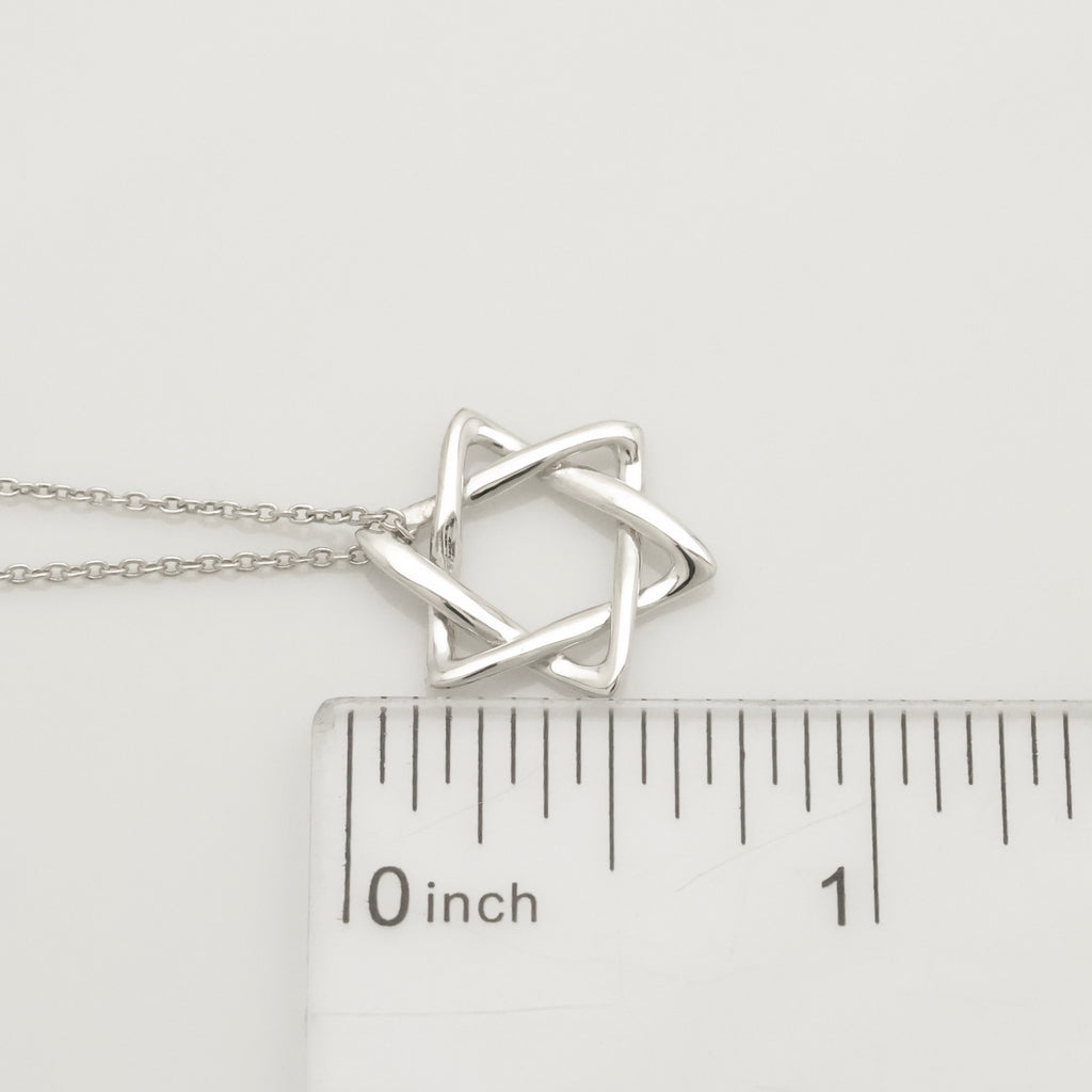 TIFFANY&Co. スター オブ ダビデ エルサペレッティ ネックレス AG925