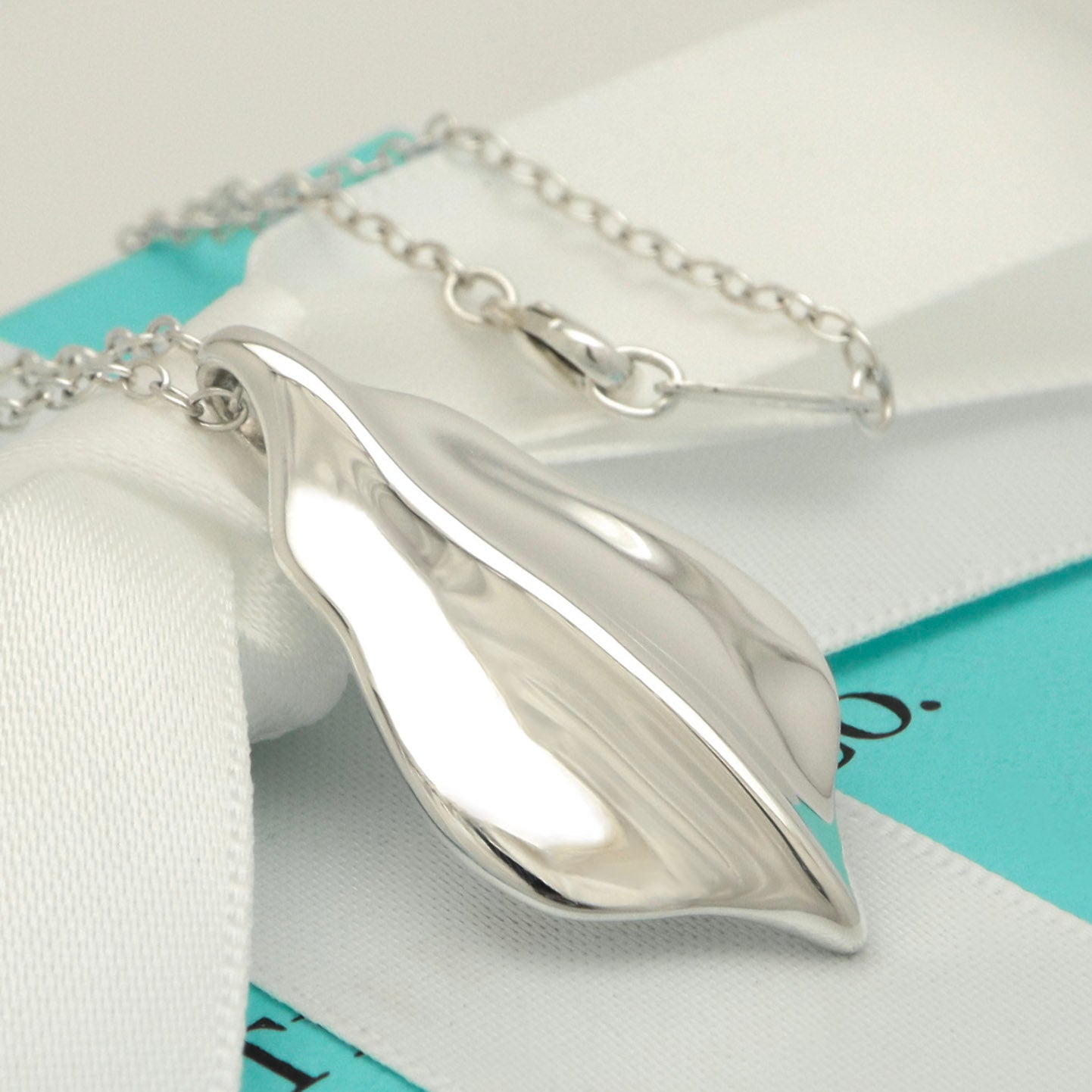 Tiffany & Co. Leaf Necklace Pendant Sterling Silver 925