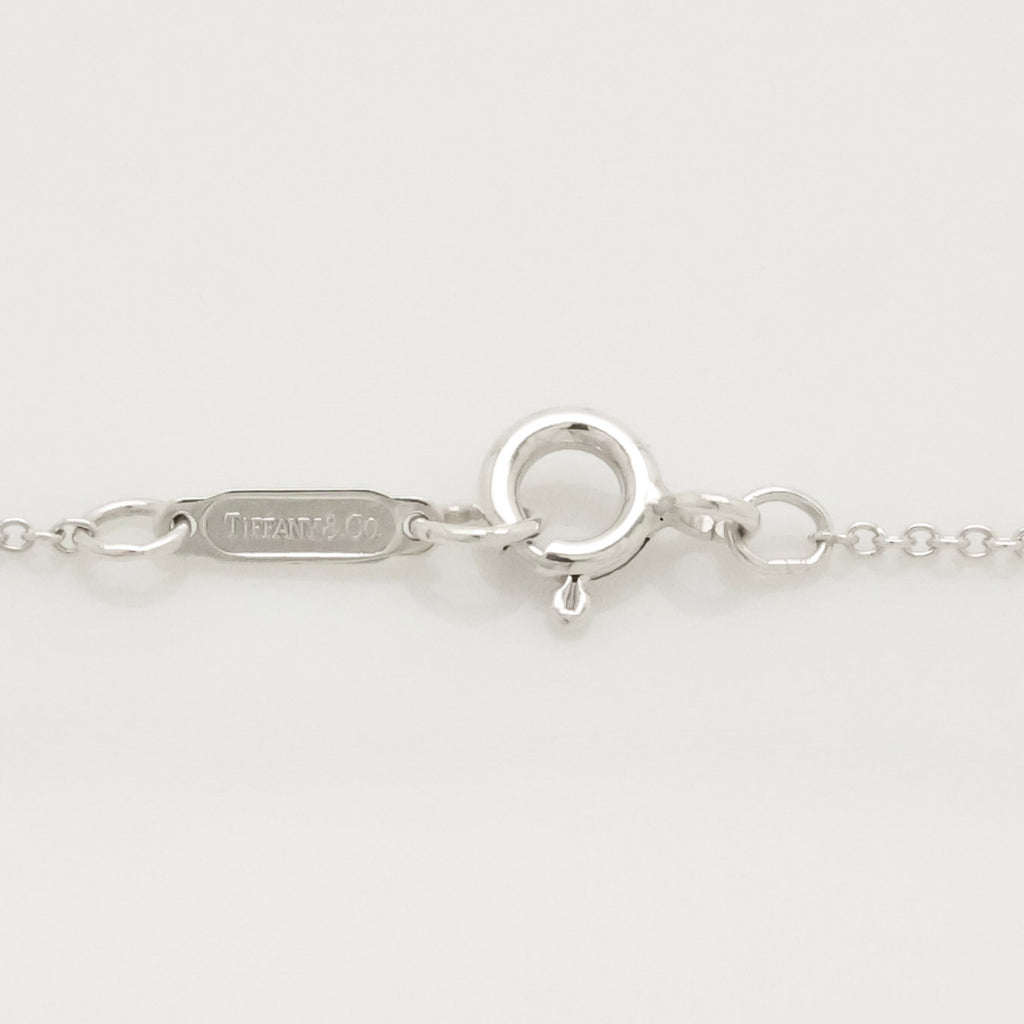 Tiffany & Co. Lifesaver Float Fish Silver Necklace Sterling Silver 925