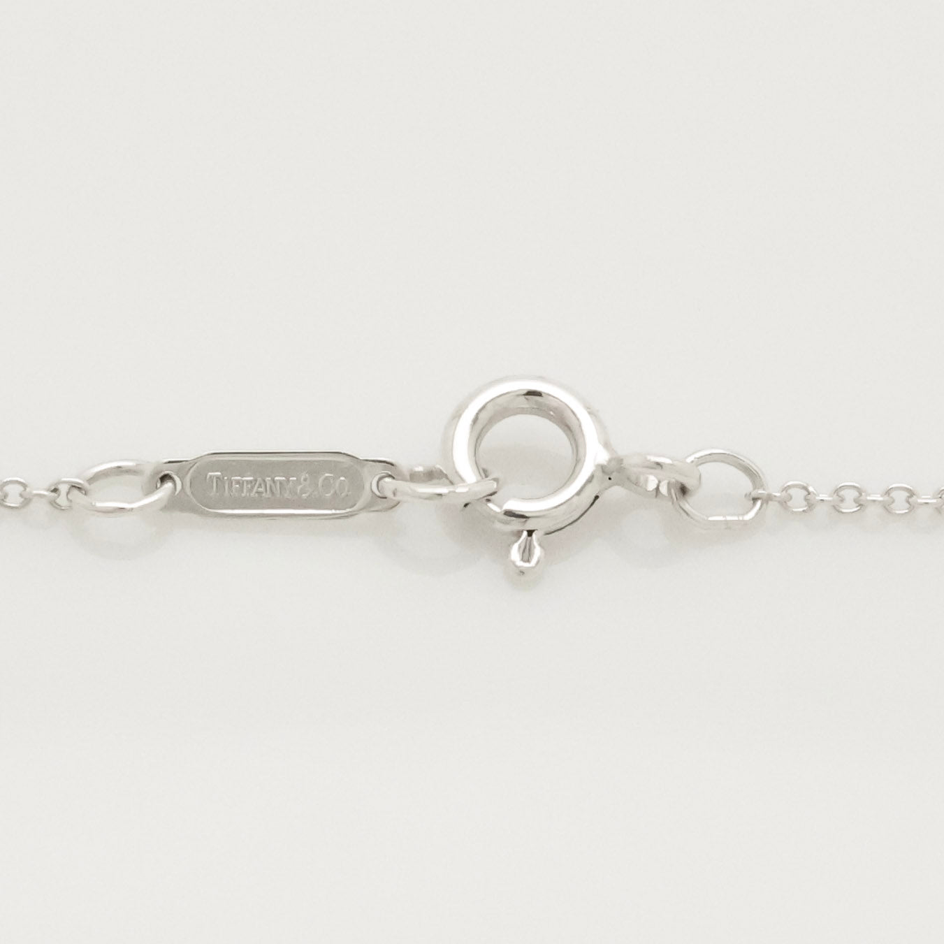 Tiffany & Co. Lifesaver Float Fish Silver Necklace Sterling Silver 925