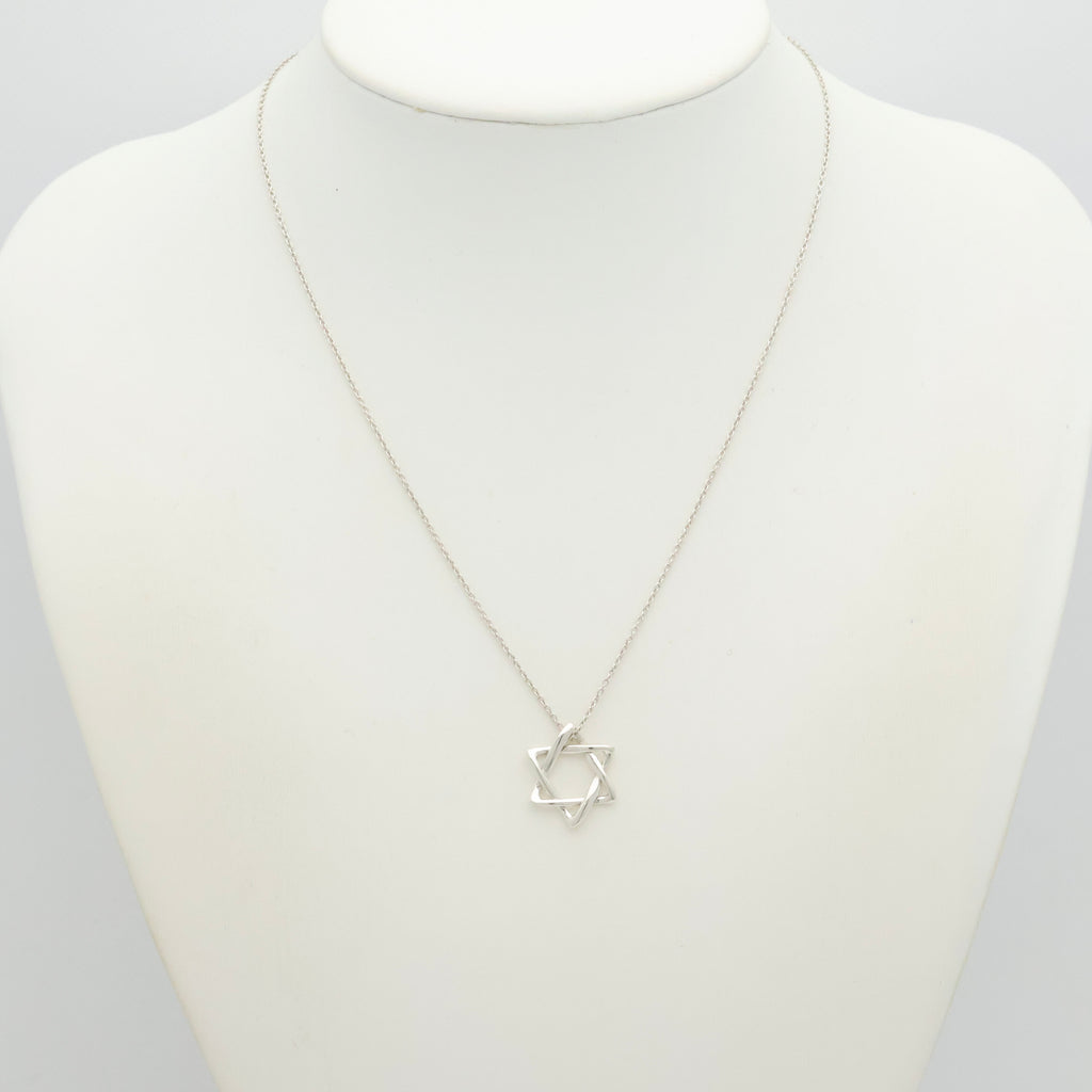 TIFFANY&Co. スター オブ ダビデ エルサペレッティ ネックレス AG925