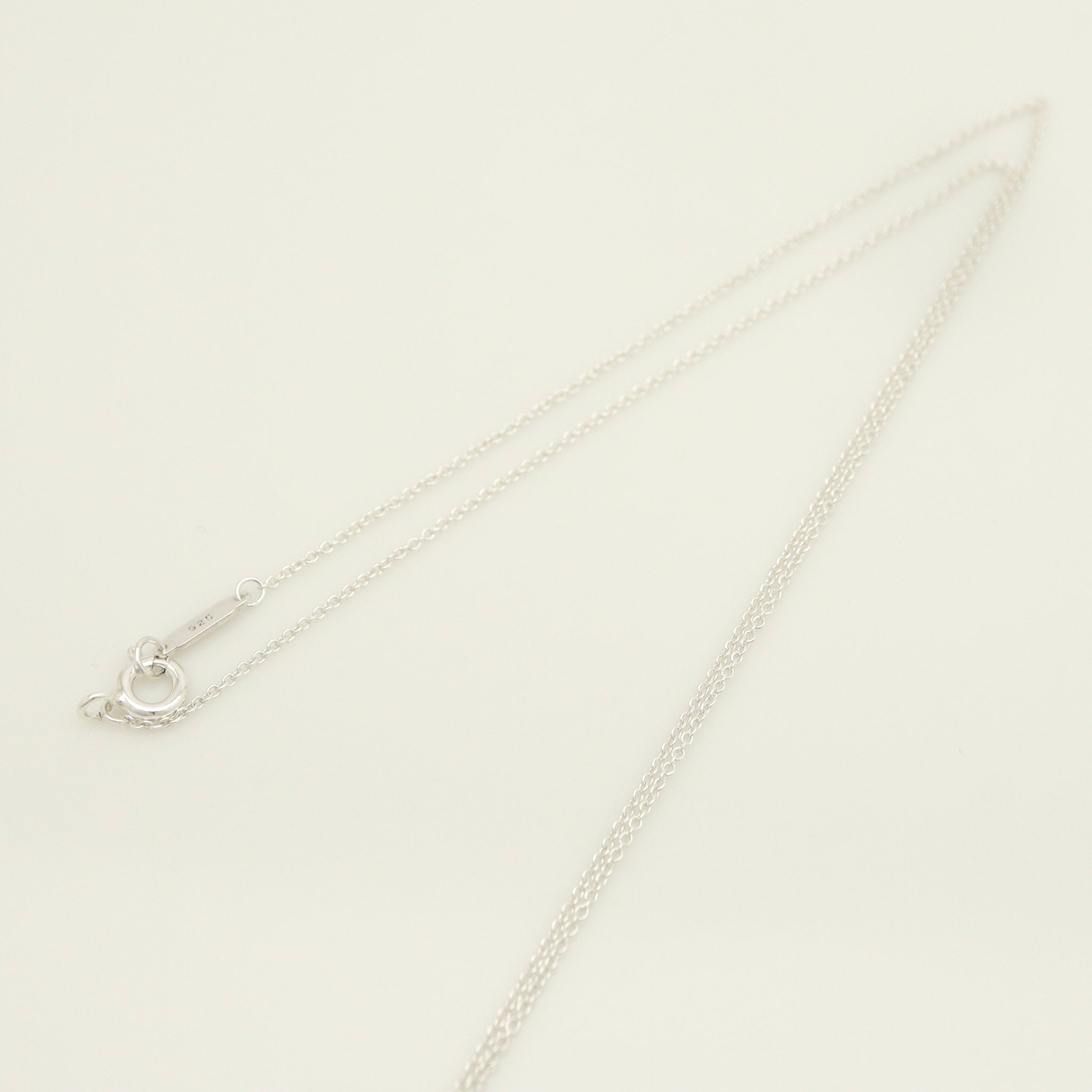 TIFFANY&Co. ノーツ ラウンド プレート ネックレス AG925