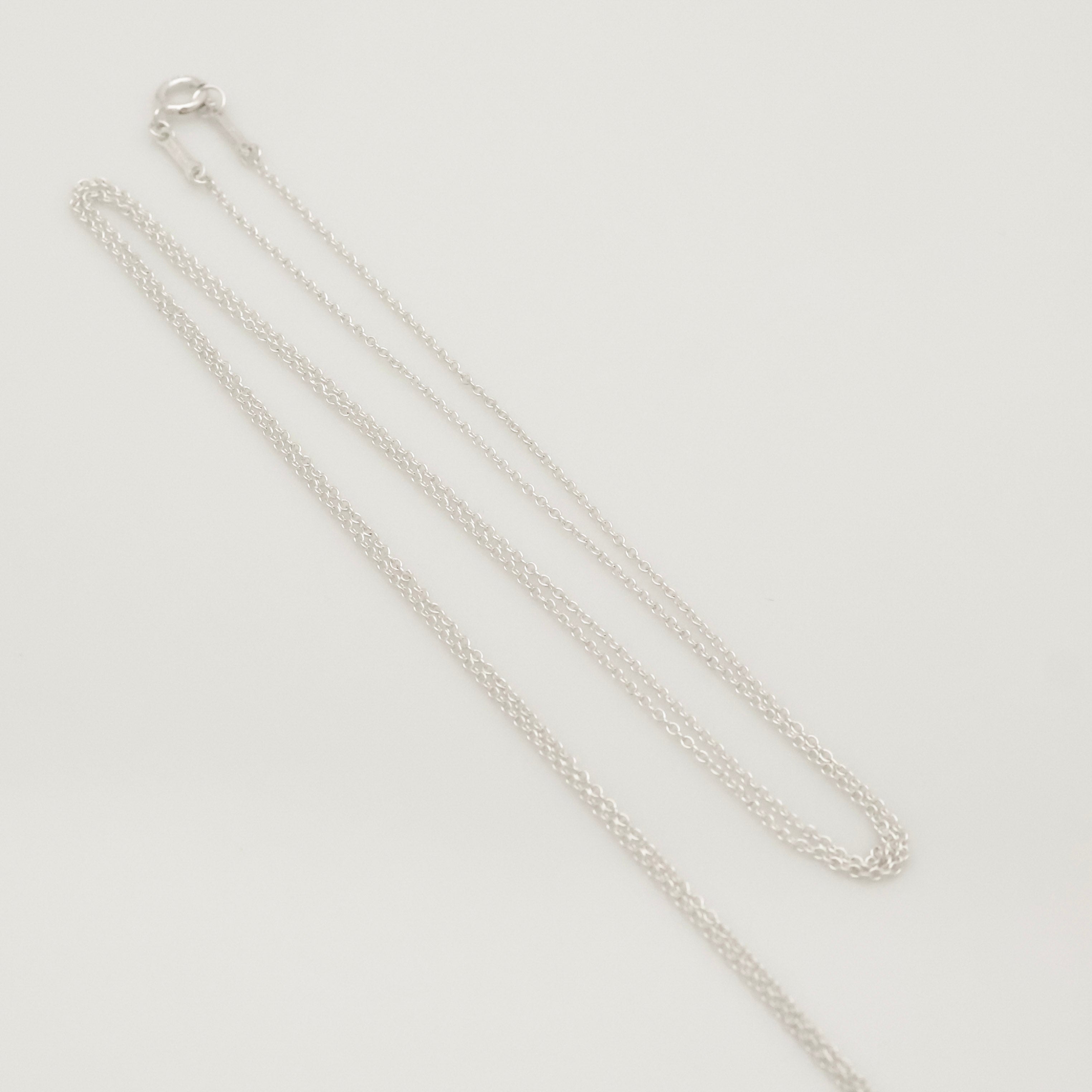 Tiffany & Co. MEDIUM Eternal Circle Necklace Sterling Silver 925 