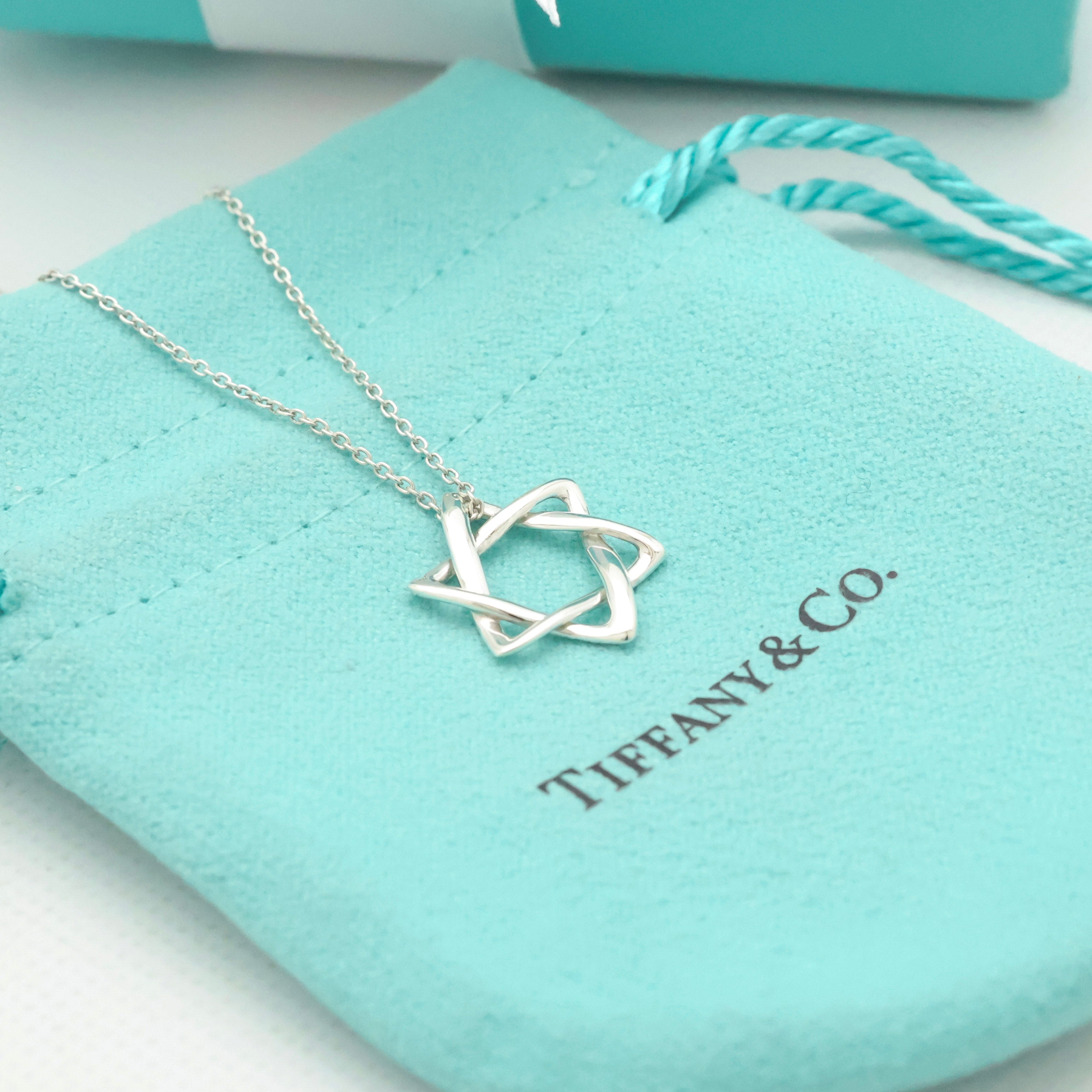TIFFANY&Co. スター オブ ダビデ エルサペレッティ ネックレス AG925