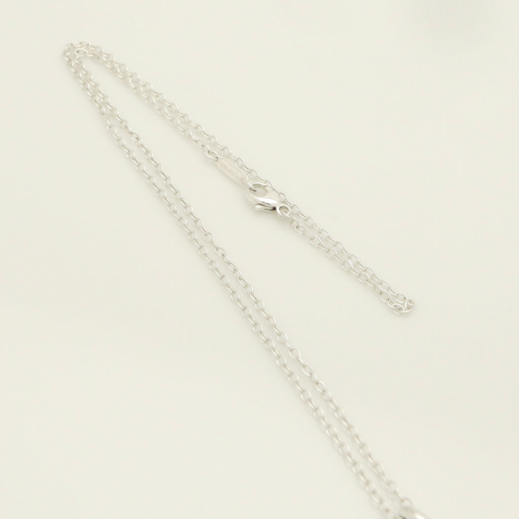 Tiffany & Co. Leaf Necklace Pendant Sterling Silver 925