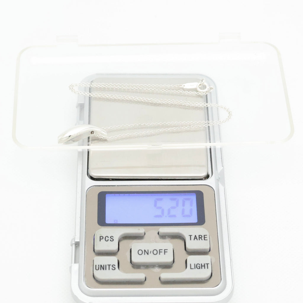 TIFFANY&Co. フランク ゲーリー フィッシュ ネックレス AG925