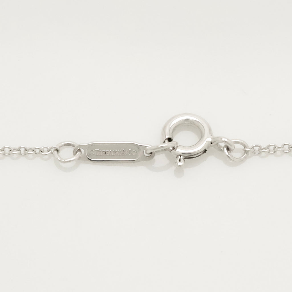 TIFFANY&Co. オープン アトラス メダリオン サークル ネックレス AG925