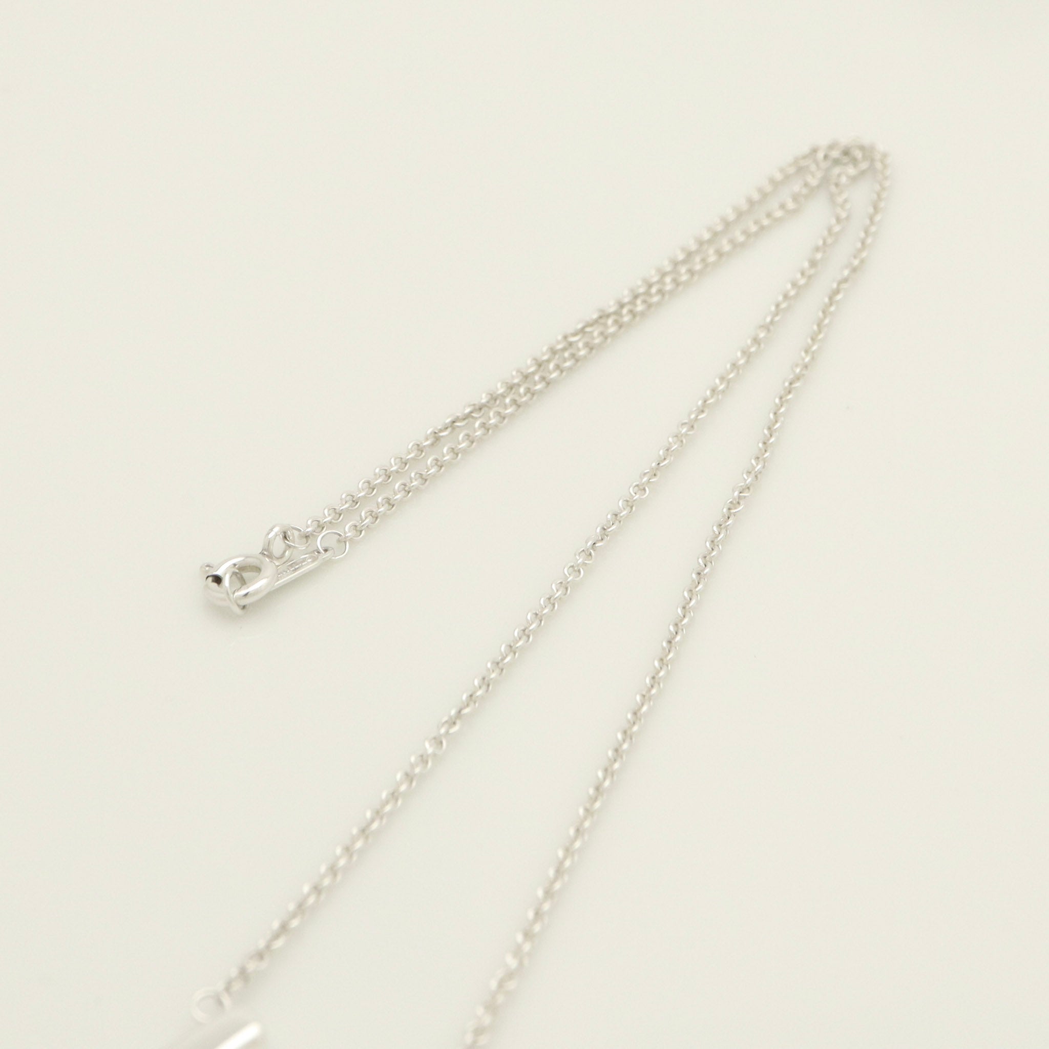 TIFFANY&Co. ホース シュー ネックレス AG925