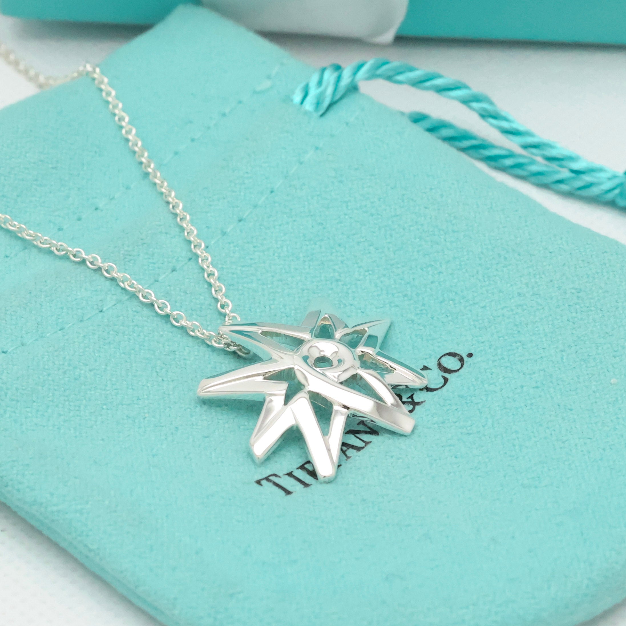 Tiffany & Co. Picasso Volume Star Necklace Sterling Silver 925