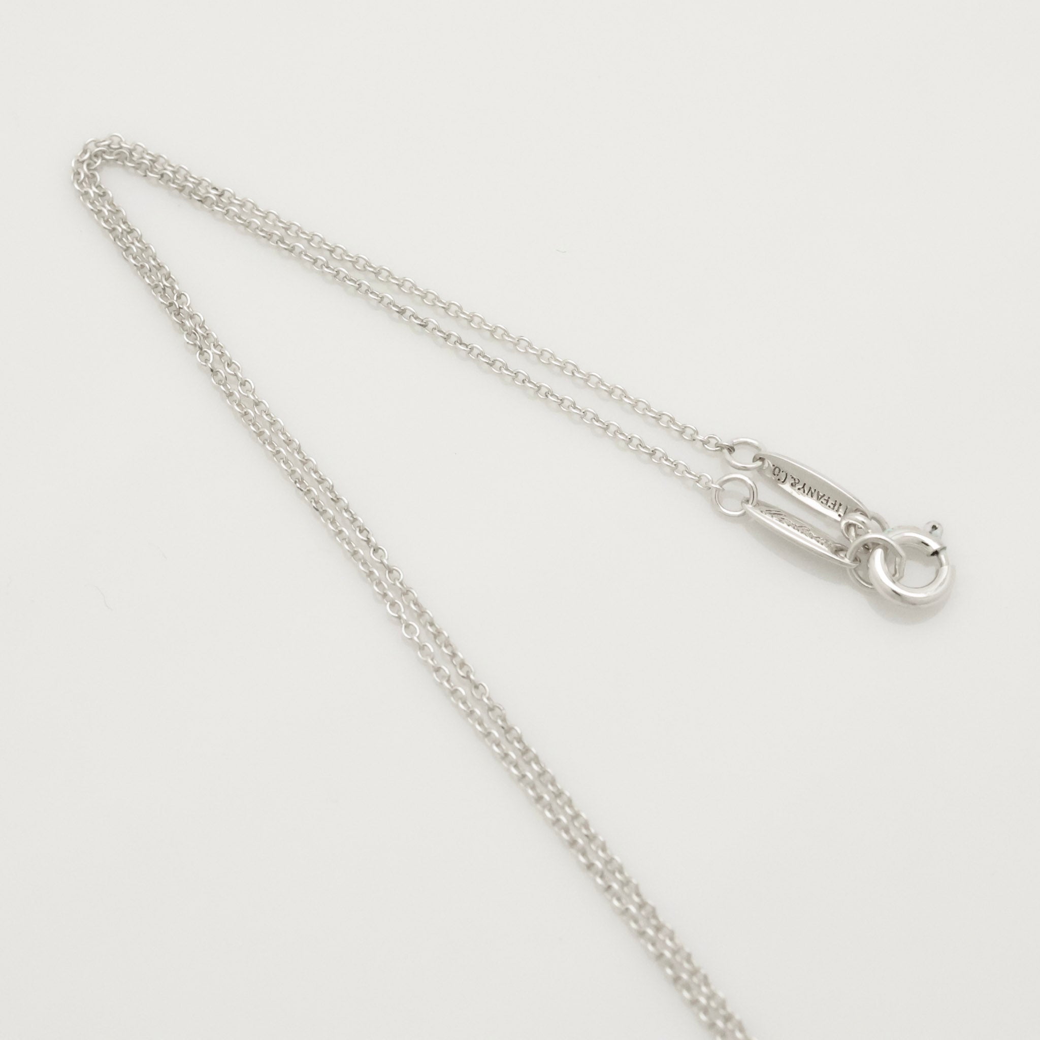 Tiffany & Co. MEDIUM Eternal Circle Necklace Sterling Silver 925 