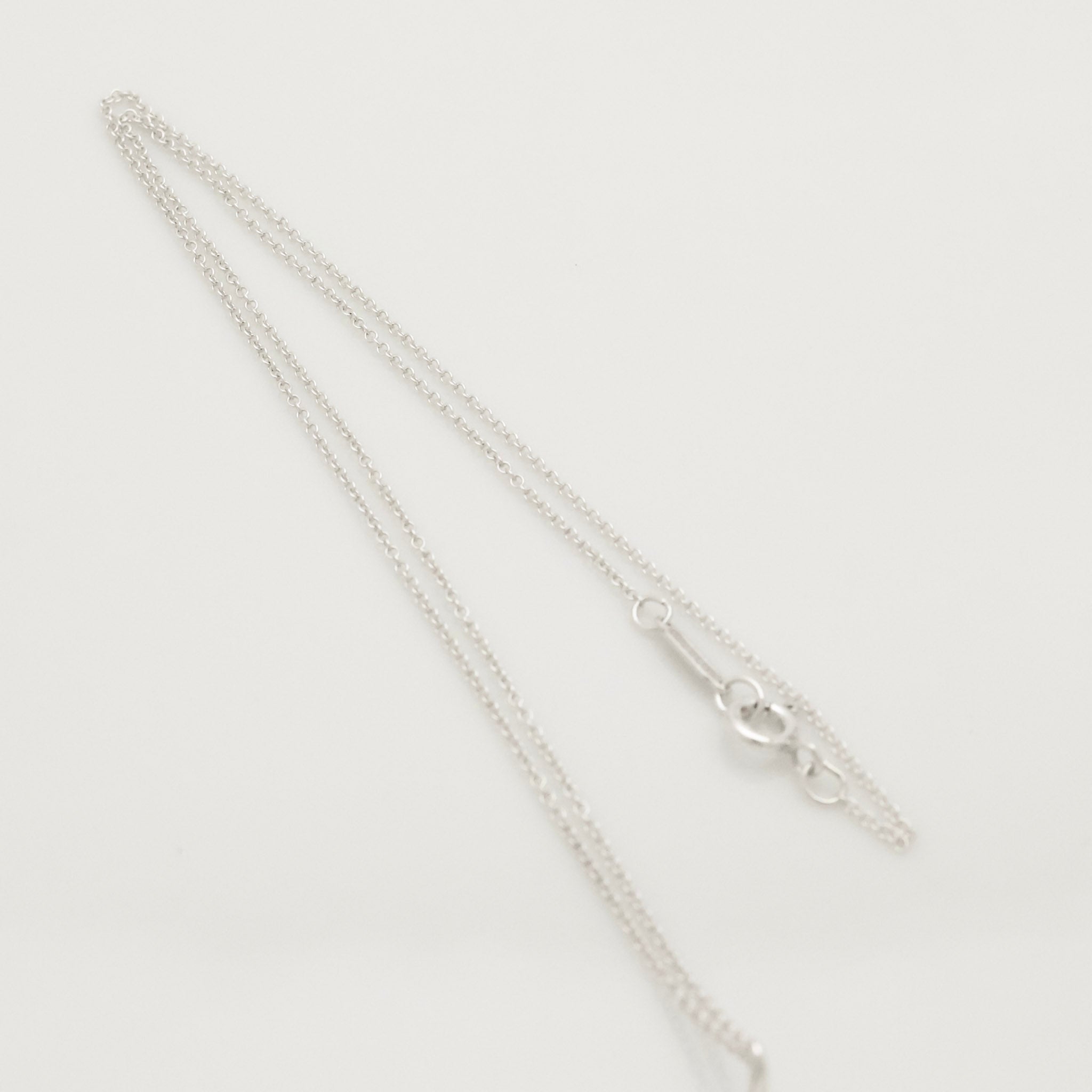 Tiffany & Co. Frank Gehry Orchid Drop Pendant Necklace Sterling Silver 925