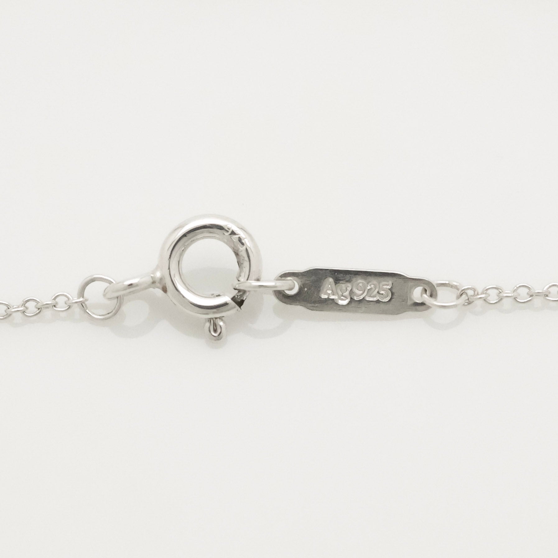 TIFFANY&Co. ラウンド タグ ネックレス AG925