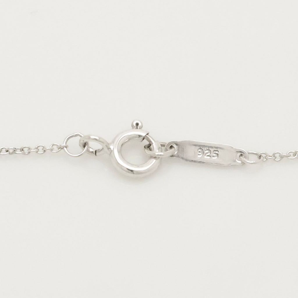 TIFFANY&Co. T＆CO. ロゴ アイコン スイング ネックレス AG925