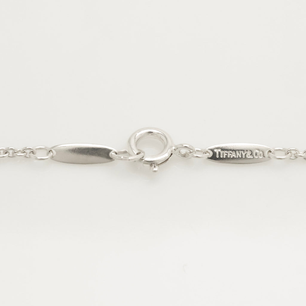 TIFFANY&Co. ノーツ レター S イニシャル  ネックレス AG925