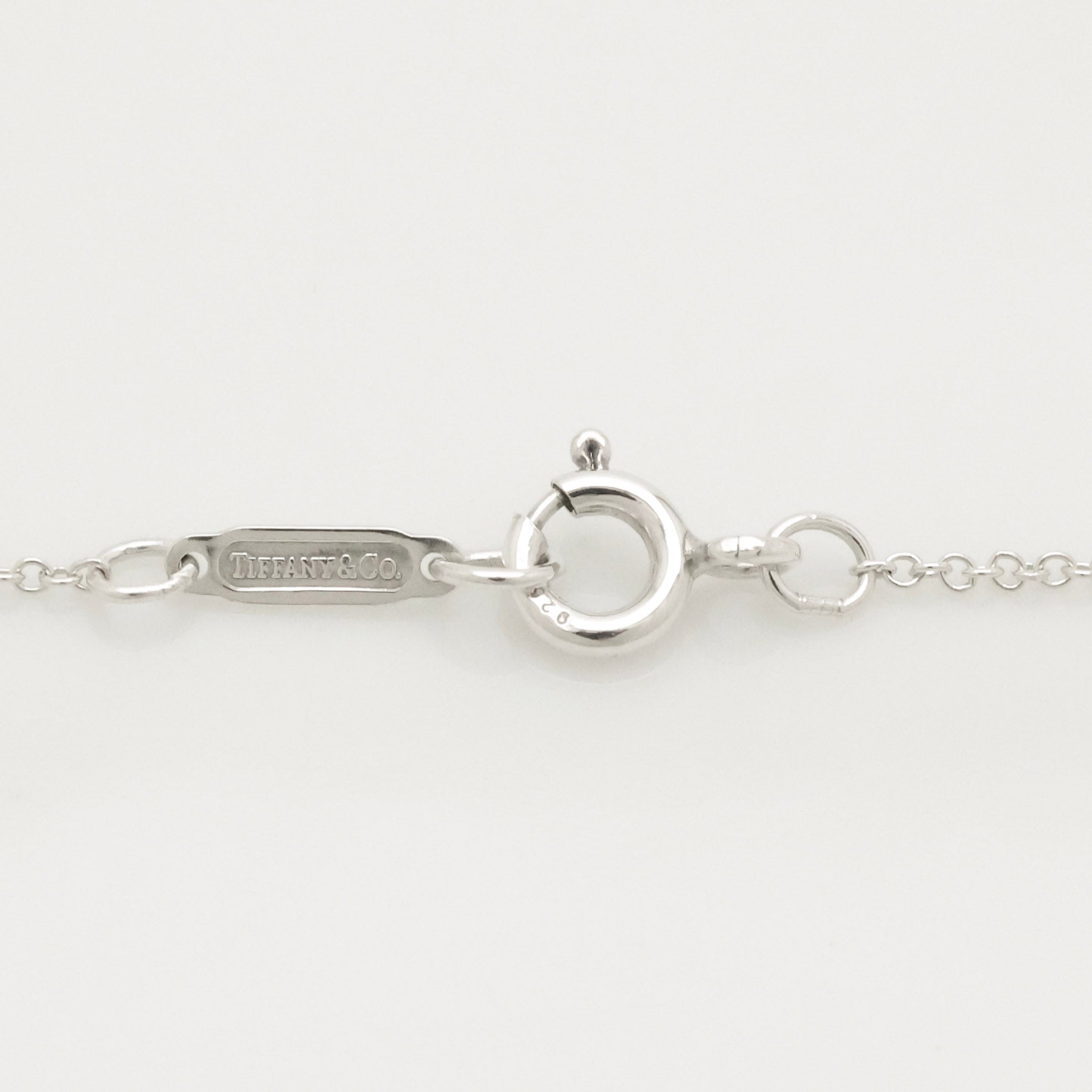 TIFFANY&Co. フランク ゲーリー オーキッド ネックレス AG925