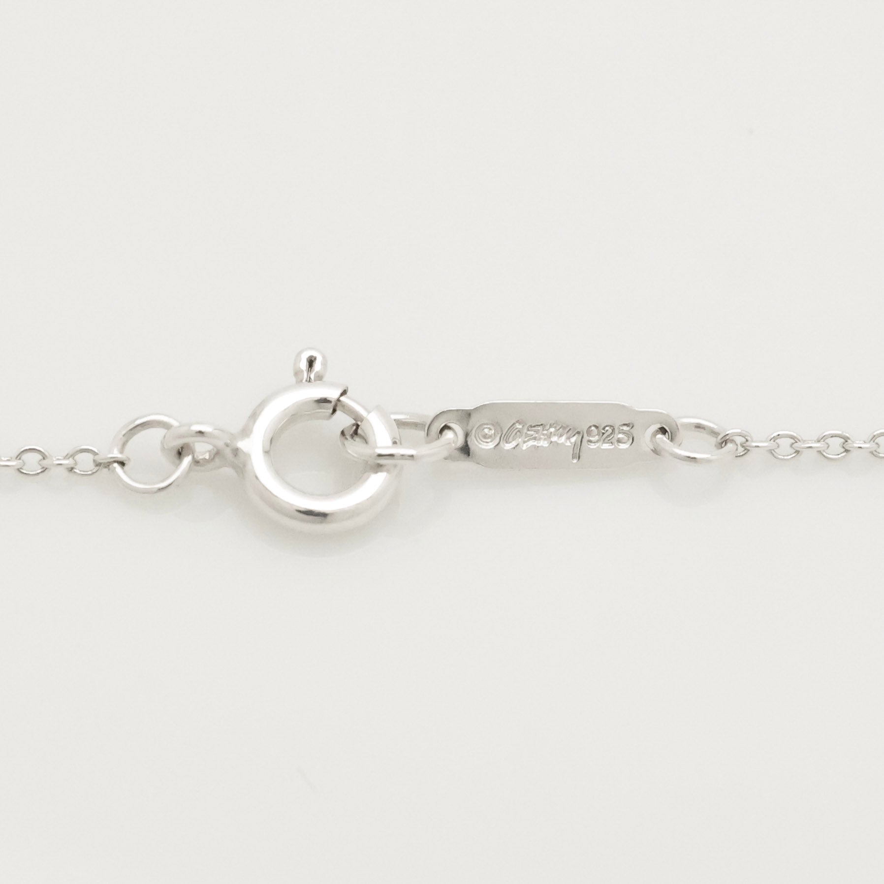 TIFFANY&Co. フランク ゲーリー フィッシュ ネックレス AG925