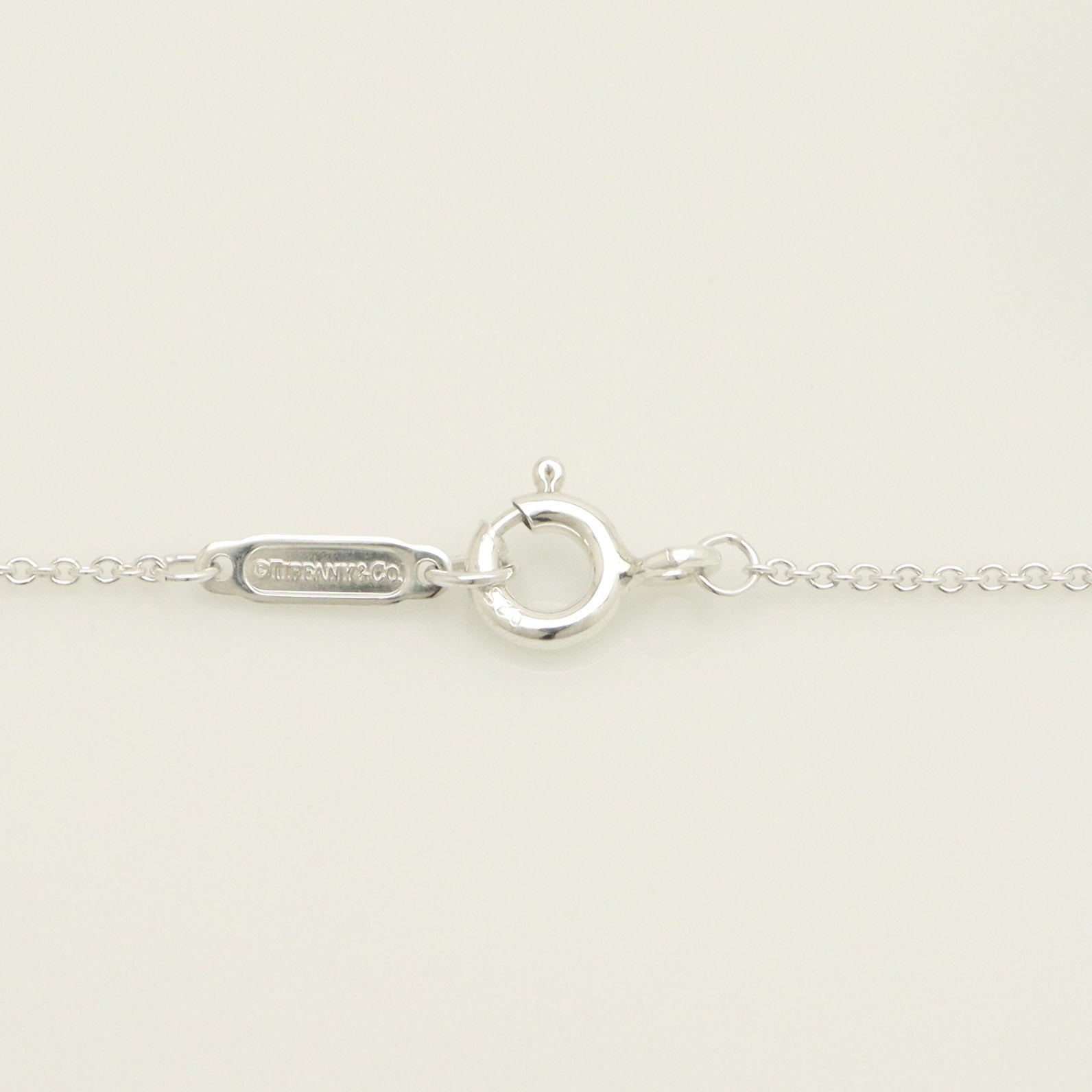 TIFFANY&Co. ノーツ ラウンド プレート ネックレス AG925