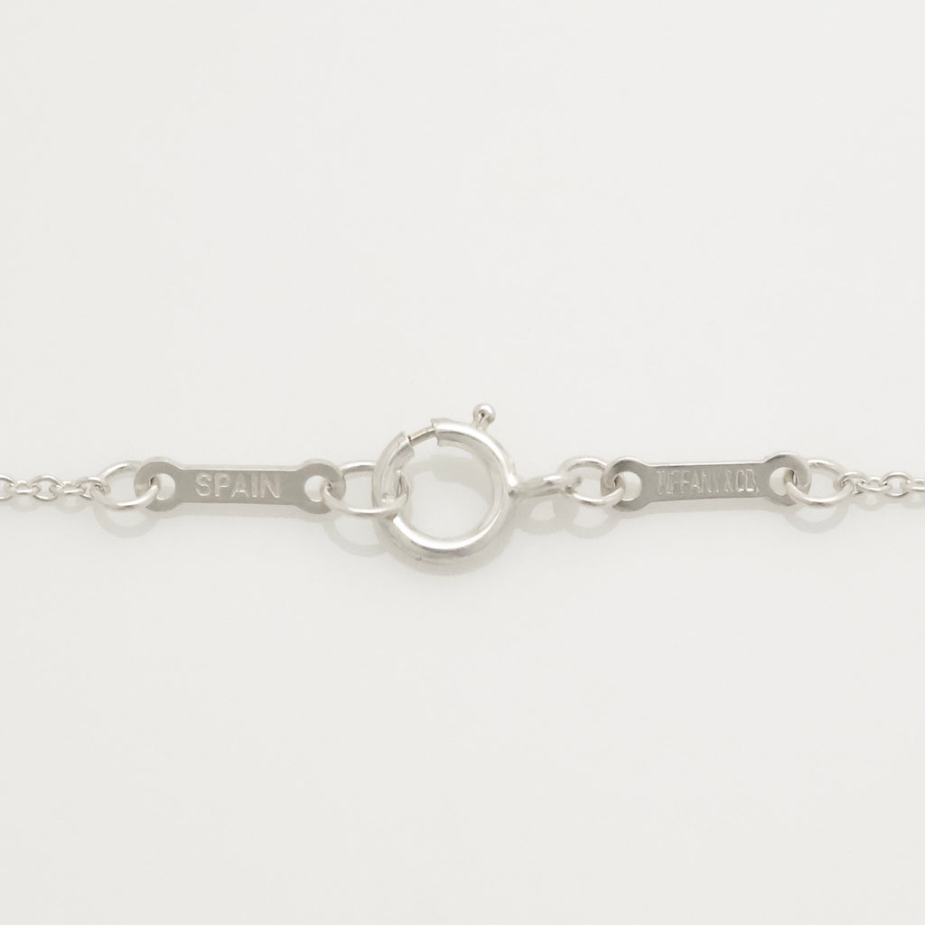 Tiffany & Co. MEDIUM Eternal Circle Necklace Sterling Silver 925 