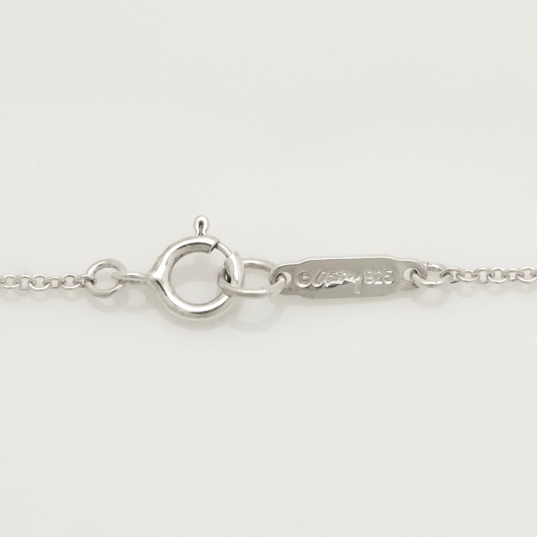 Tiffany & Co. Frank Gehry Orchid Drop Pendant Necklace Sterling Silver 925