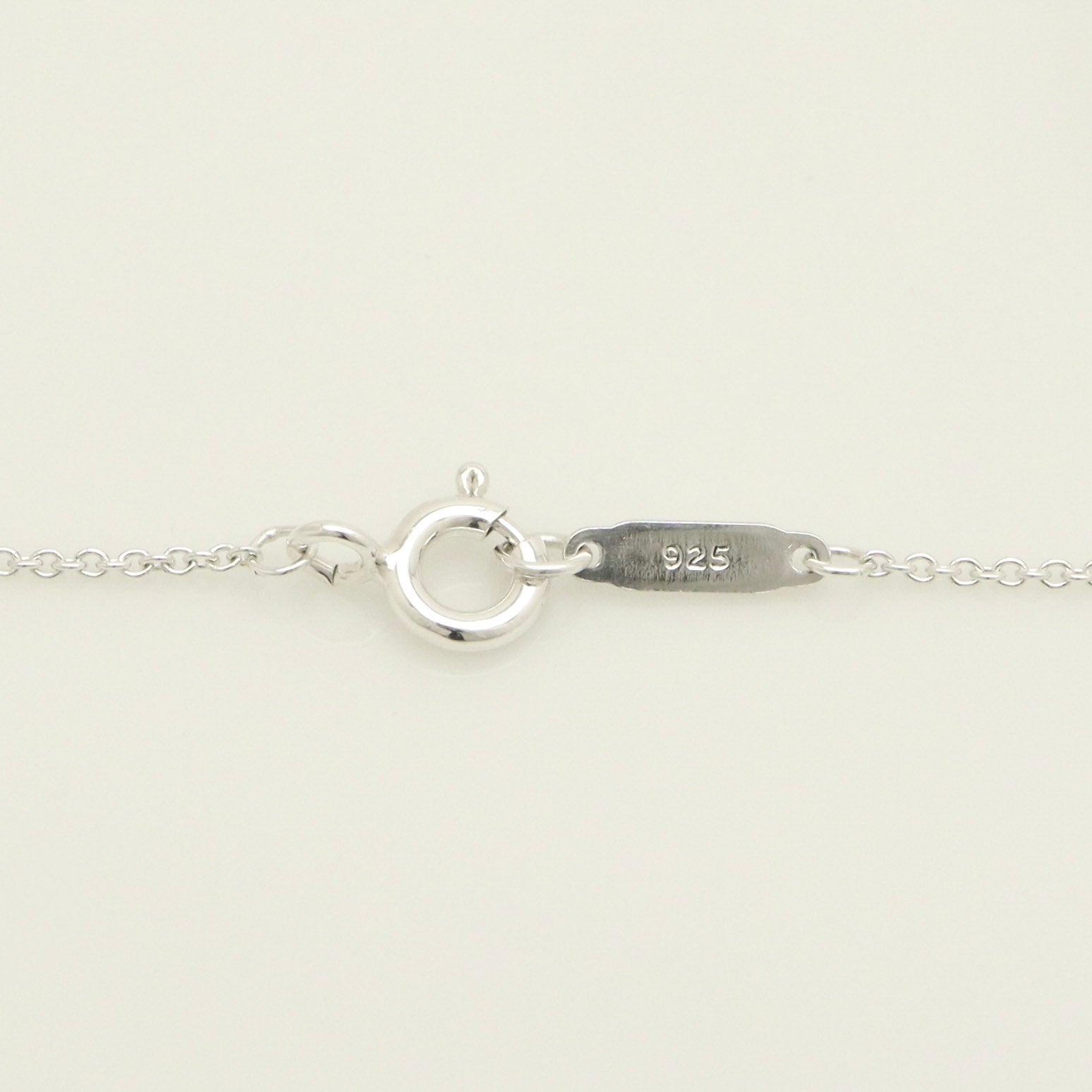TIFFANY&Co. ノーツ ラウンド プレート ネックレス AG925