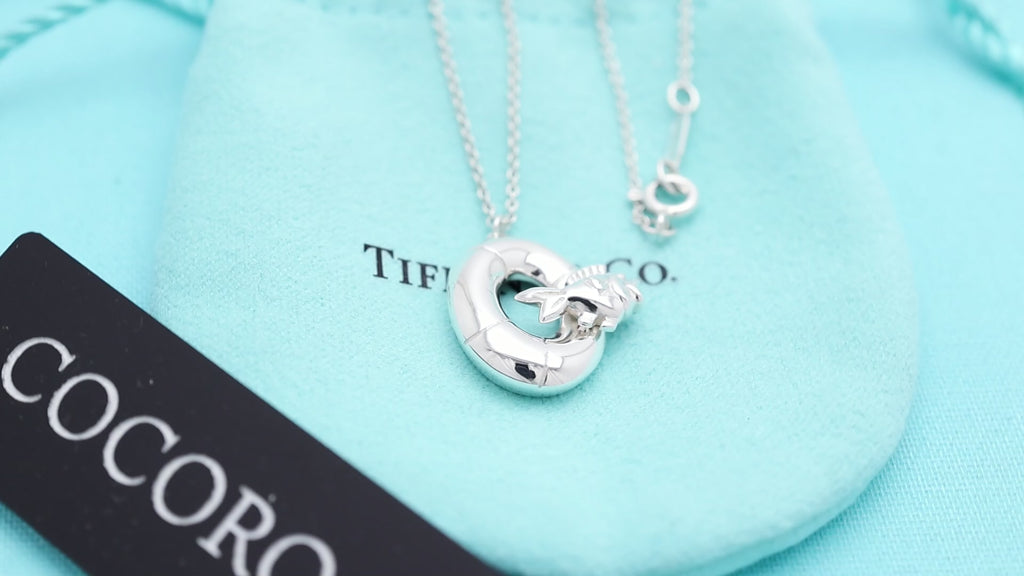 Tiffany & Co. Lifesaver Float Fish Silver Necklace Sterling Silver 925