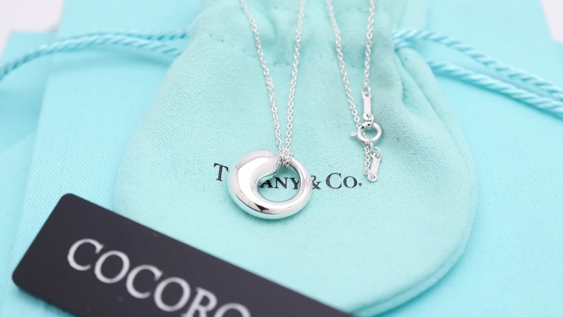 Tiffany & Co. MEDIUM Eternal Circle Necklace Sterling Silver 925 